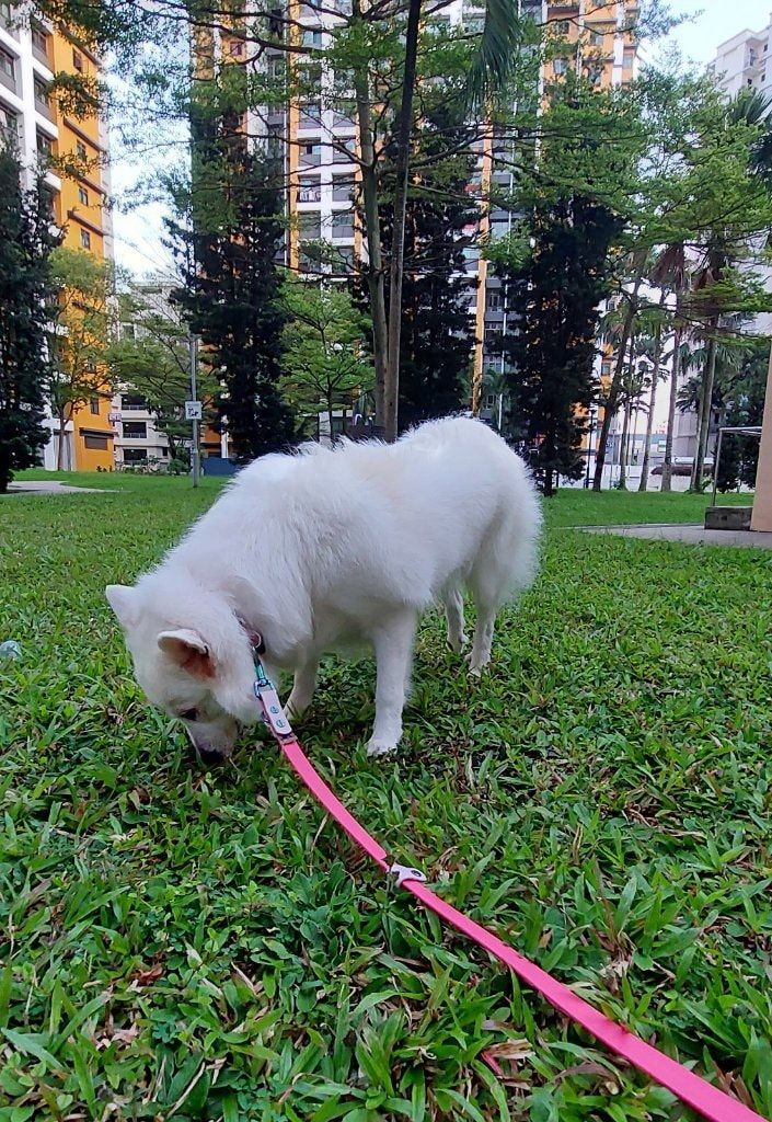 image-22