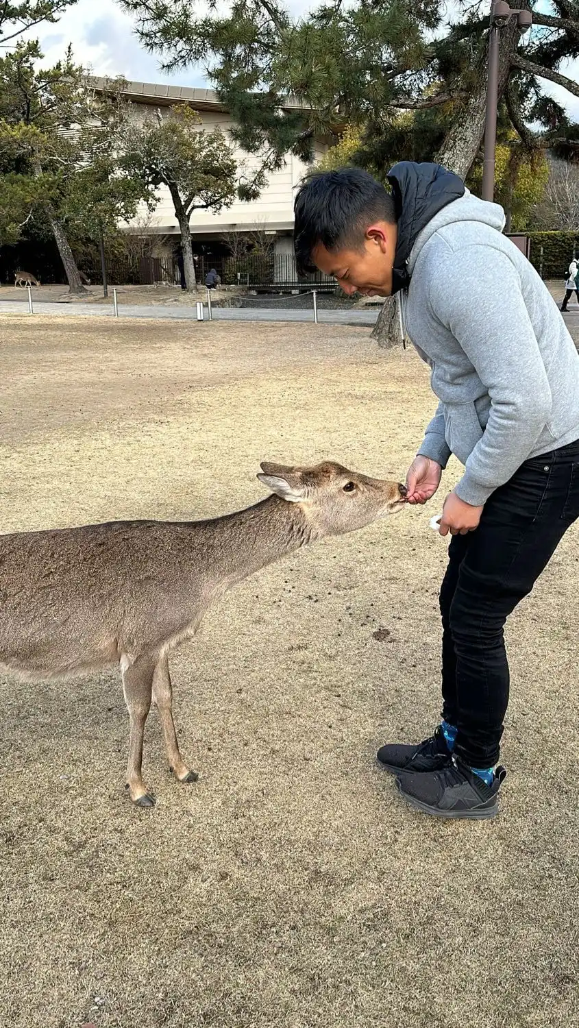 image-5