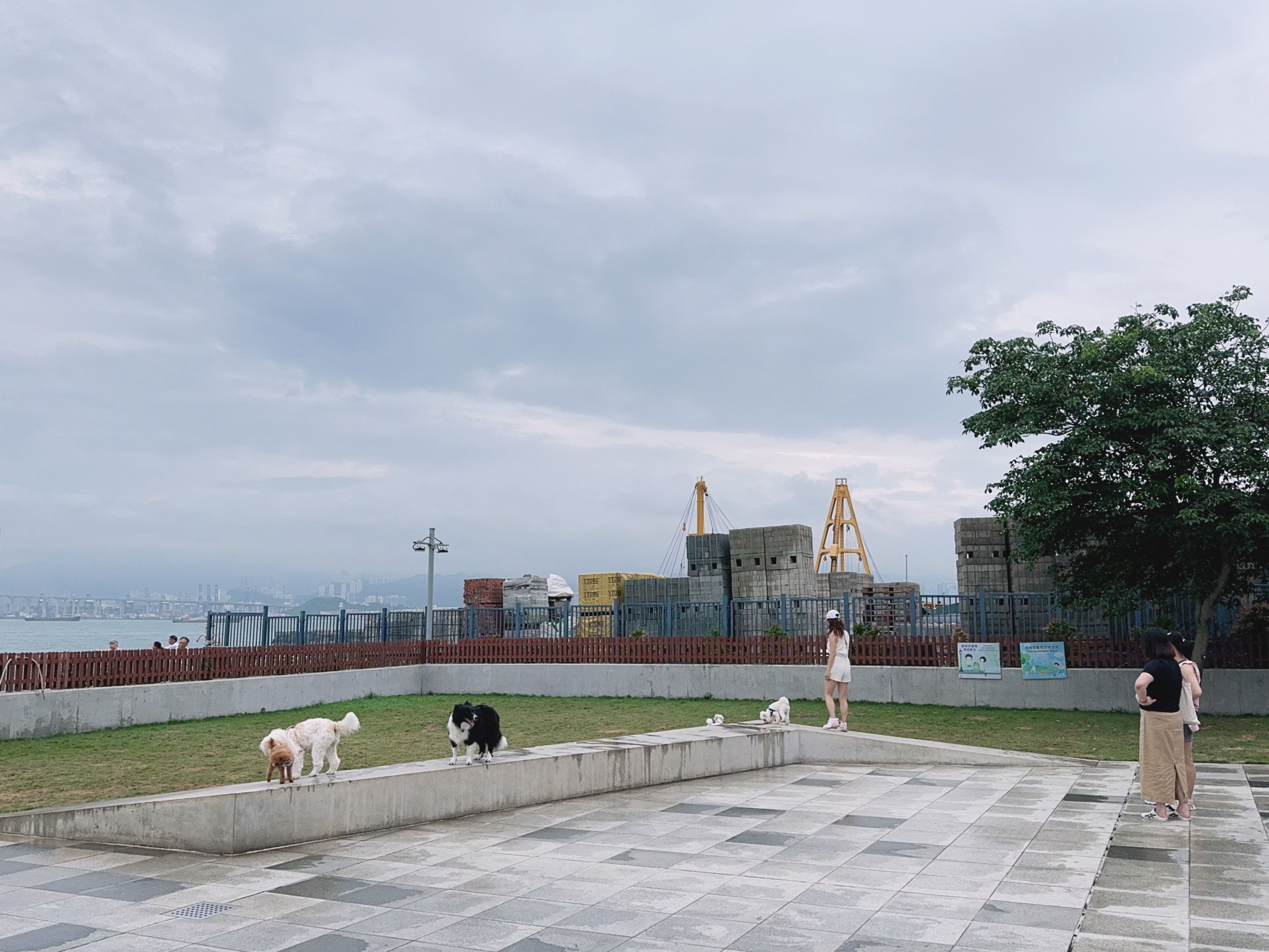 image-6