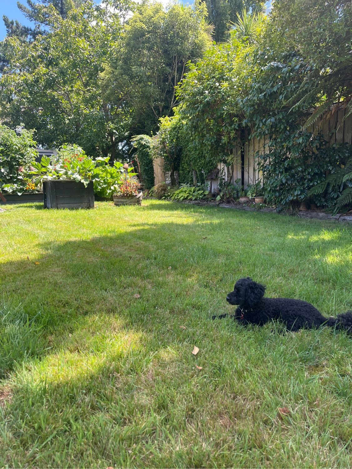 image-7