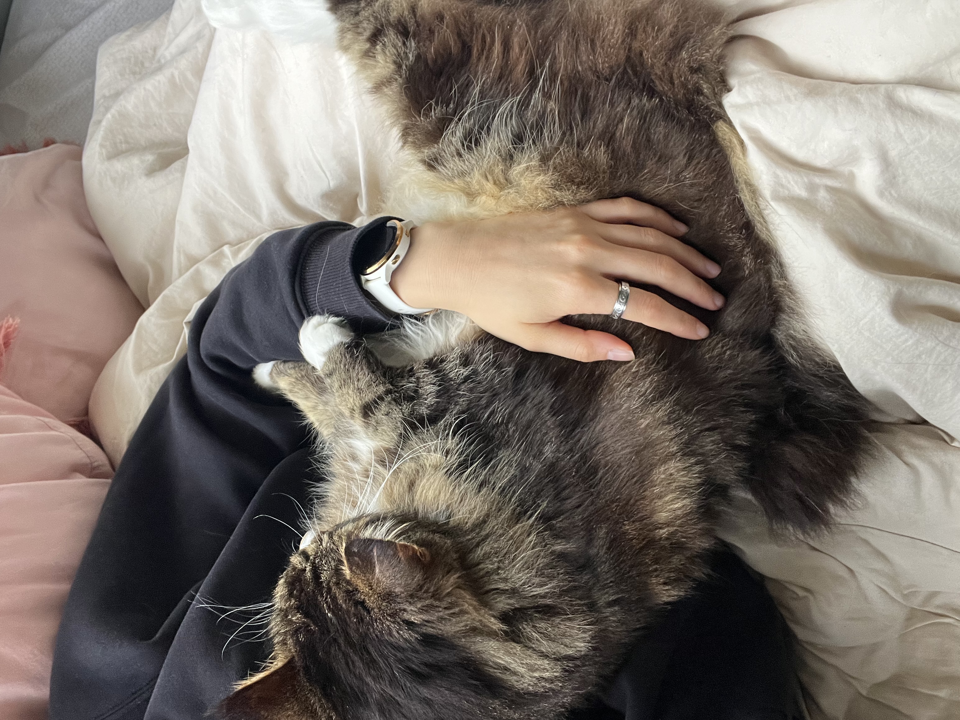 image-6