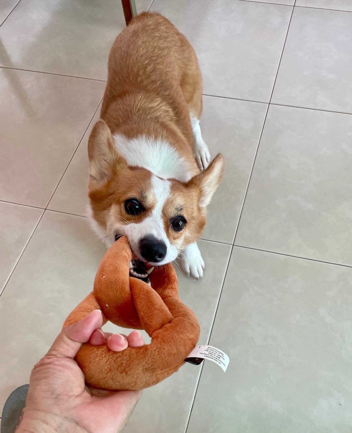 image-12