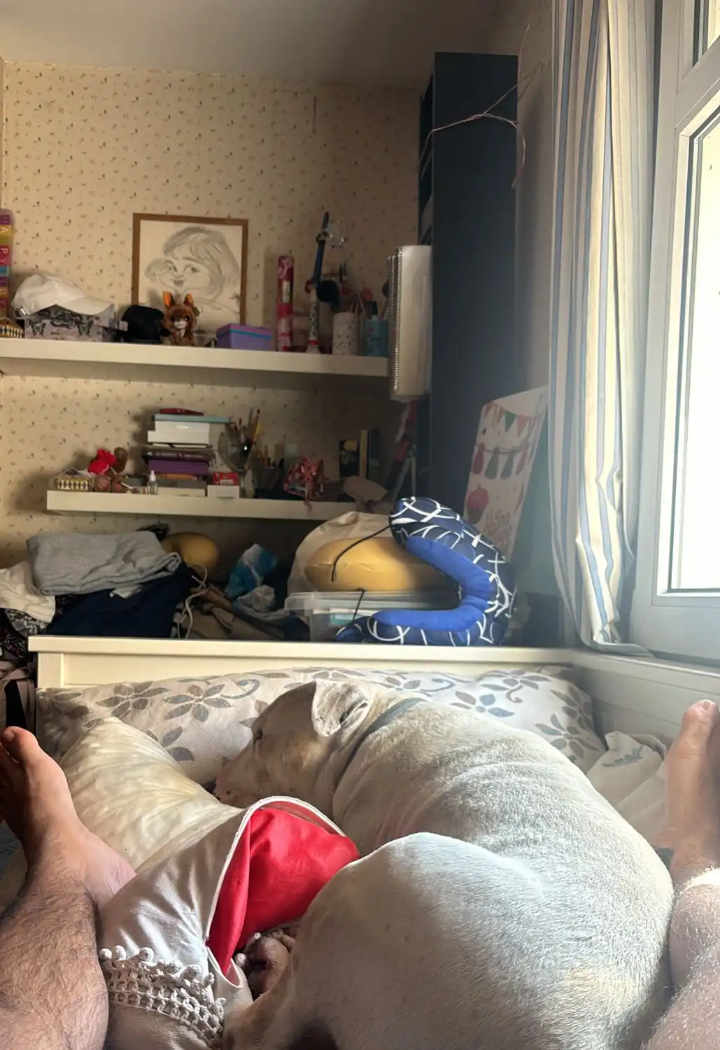 image-11