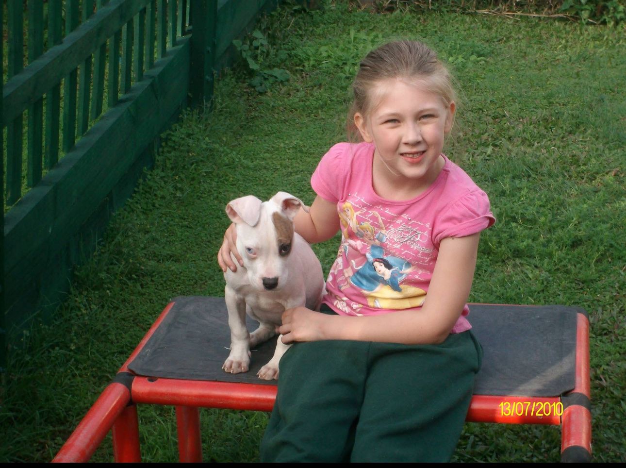 image-8