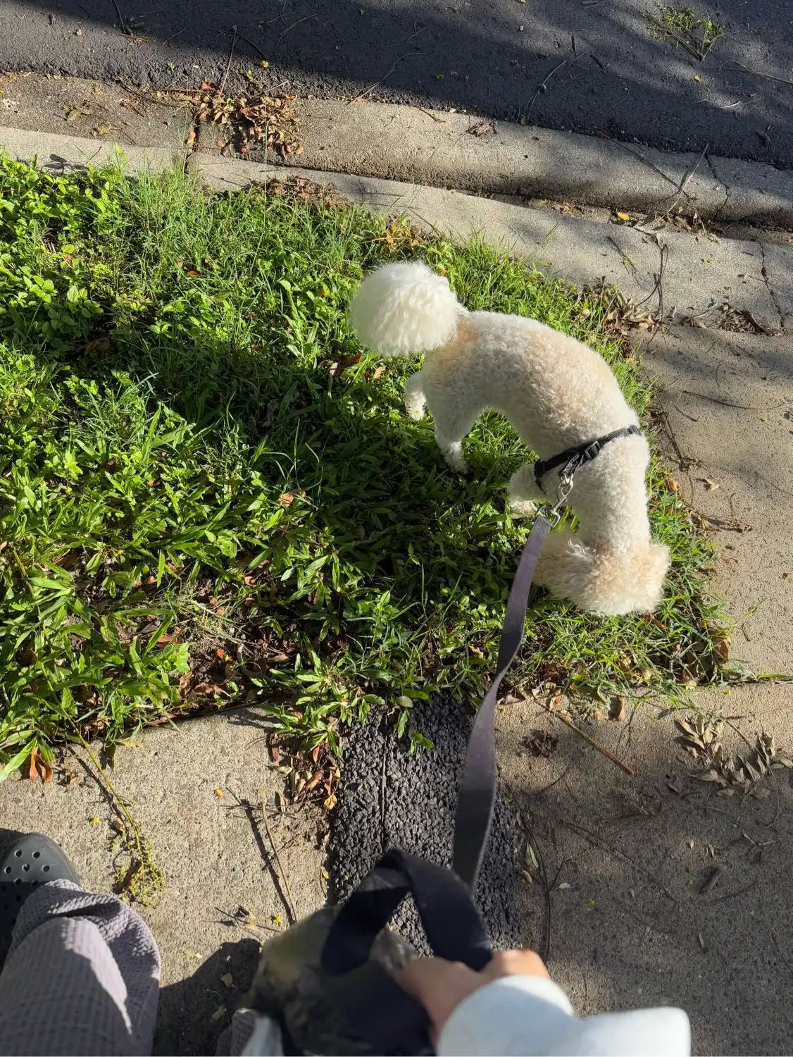 image-12