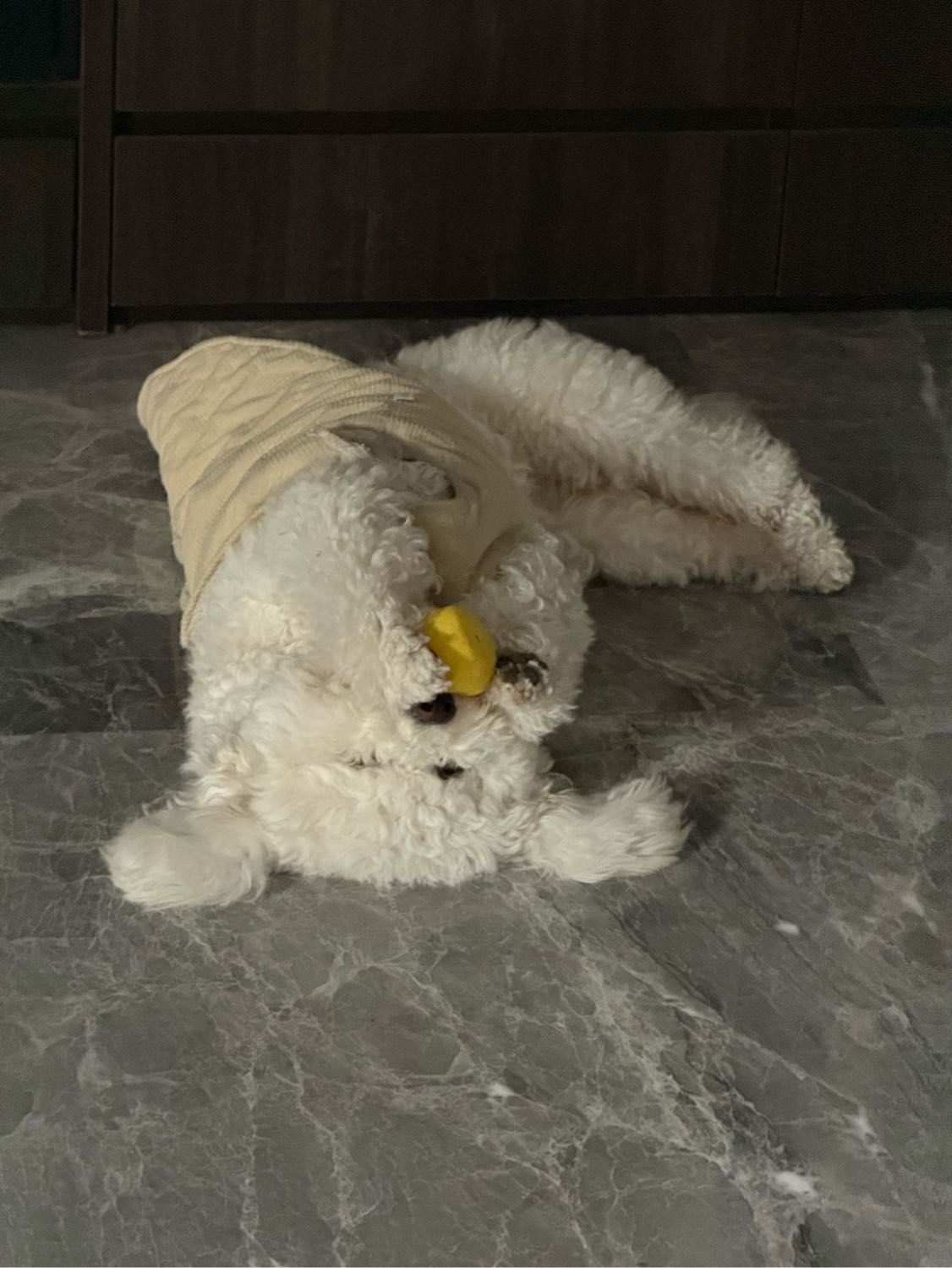 image-9