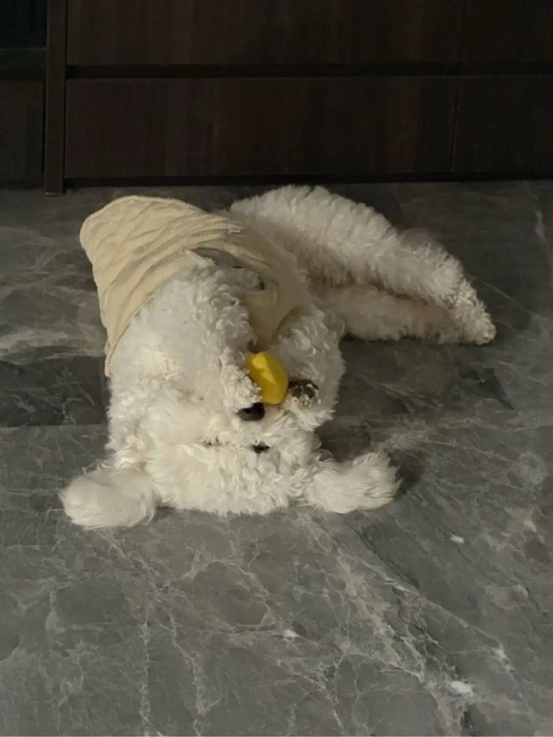 image-9