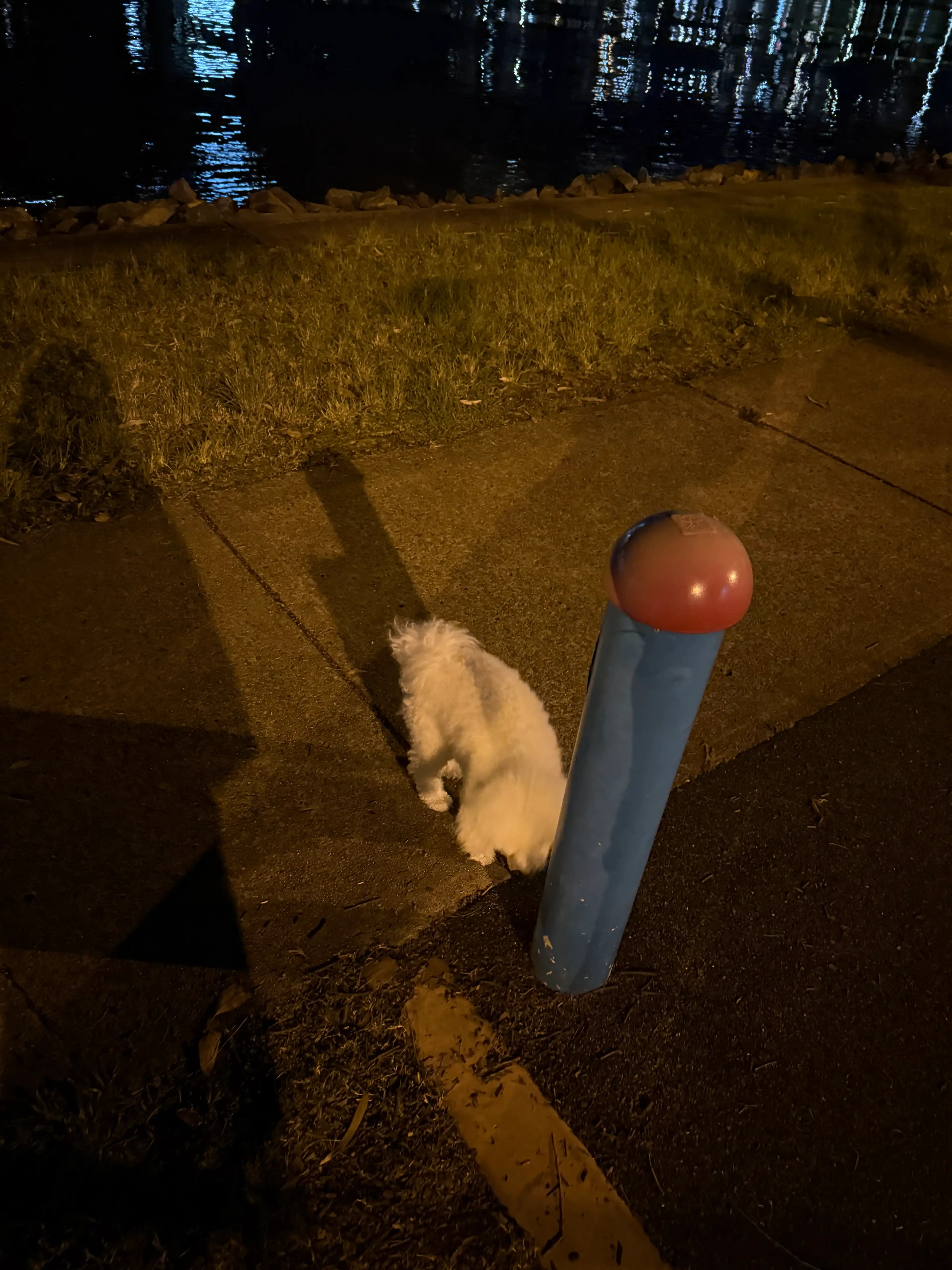 image-14