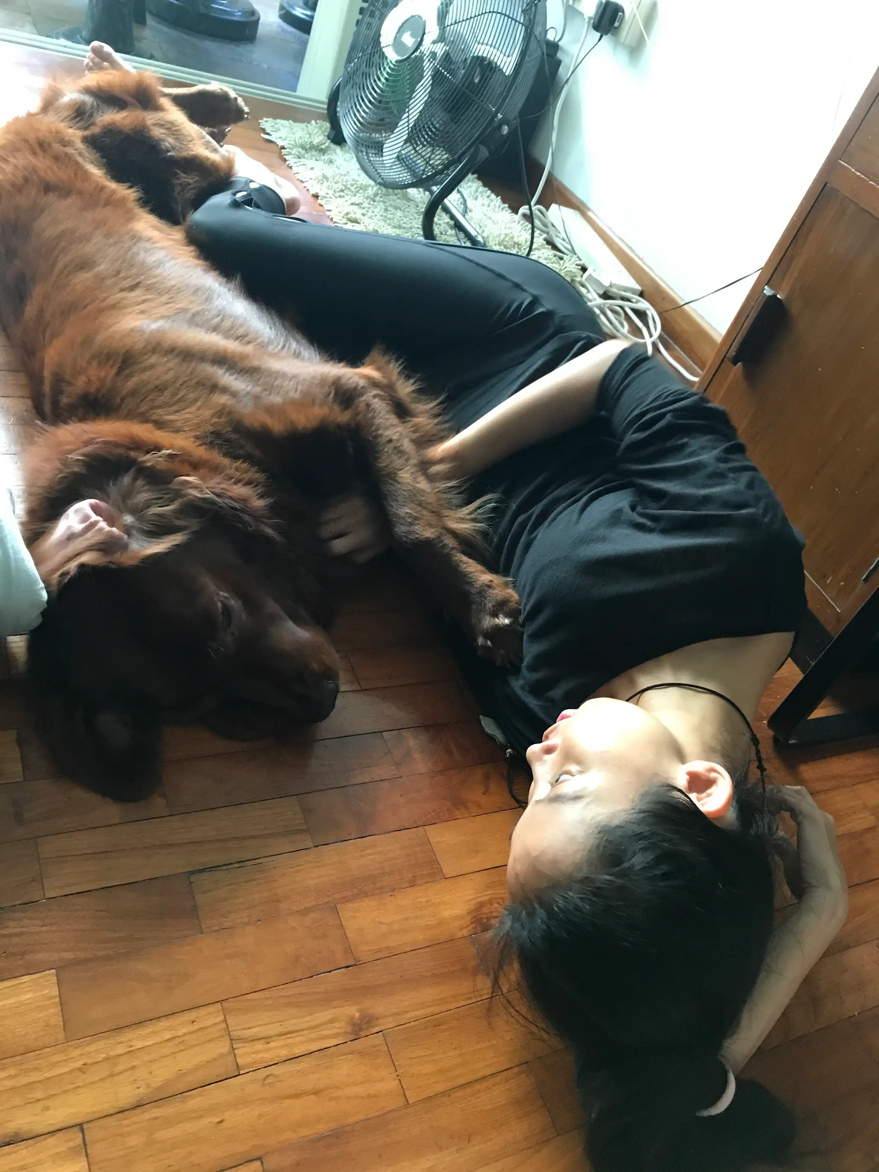 image-5