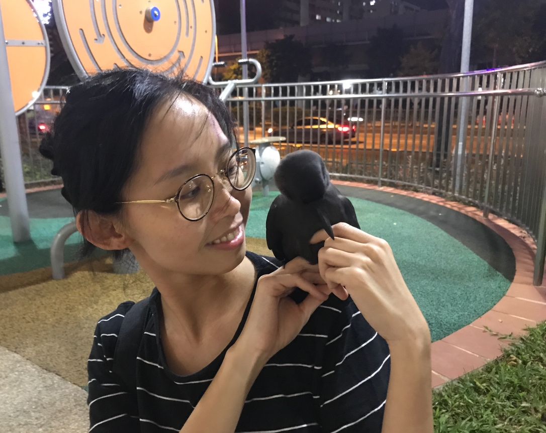 image-11
