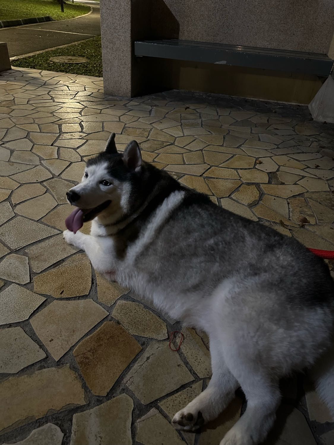 image-16