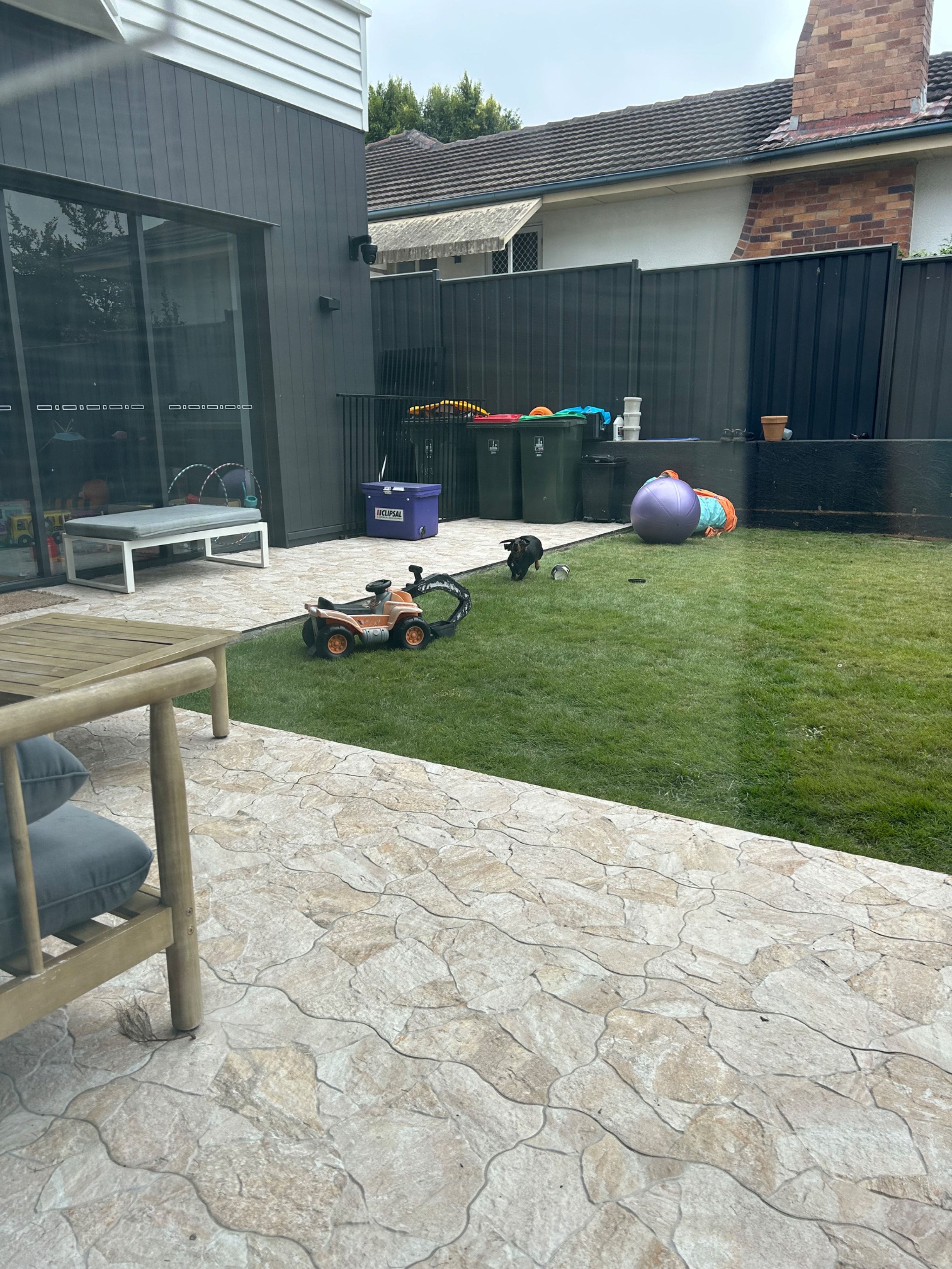 image-1