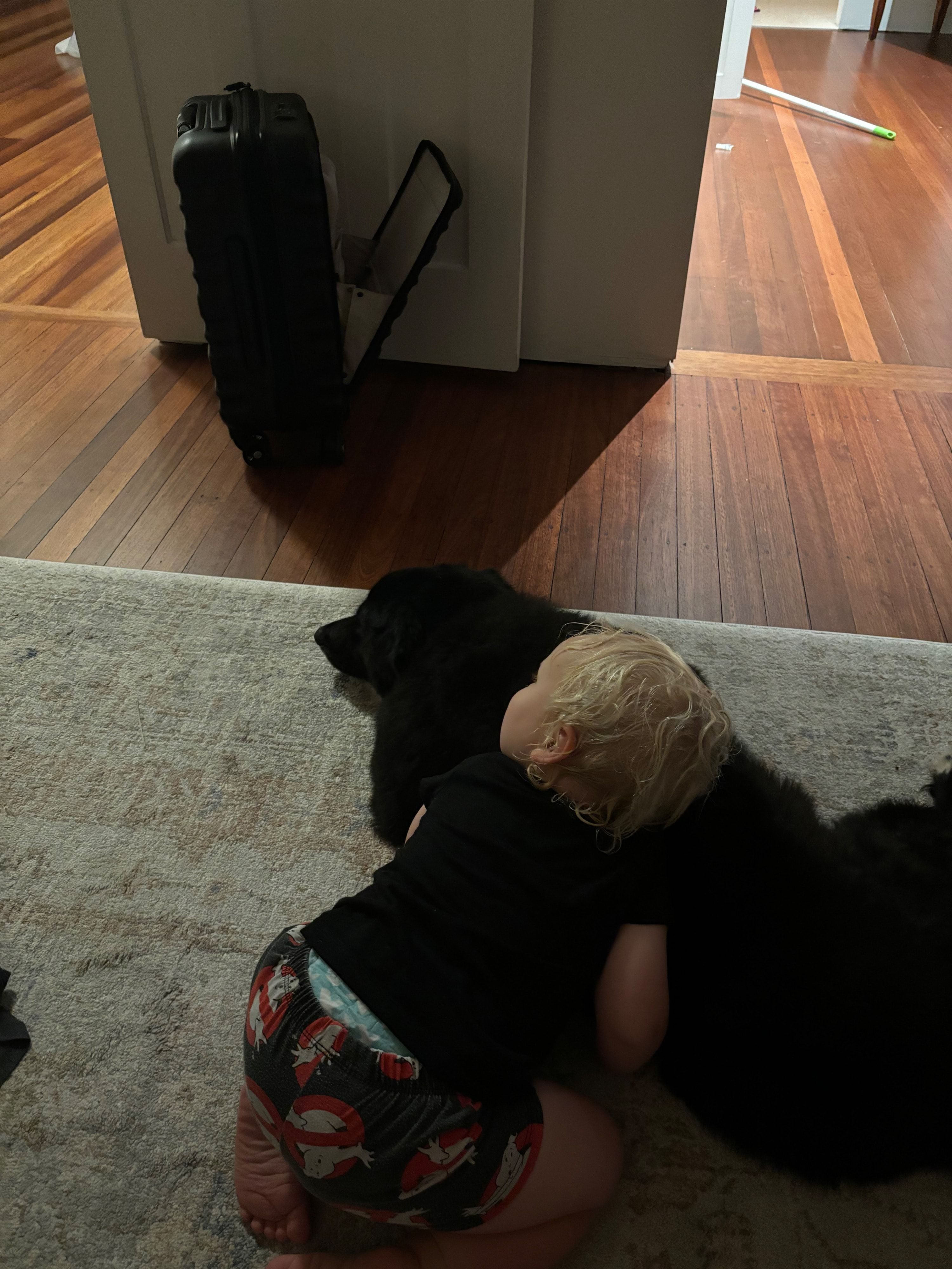 image-10