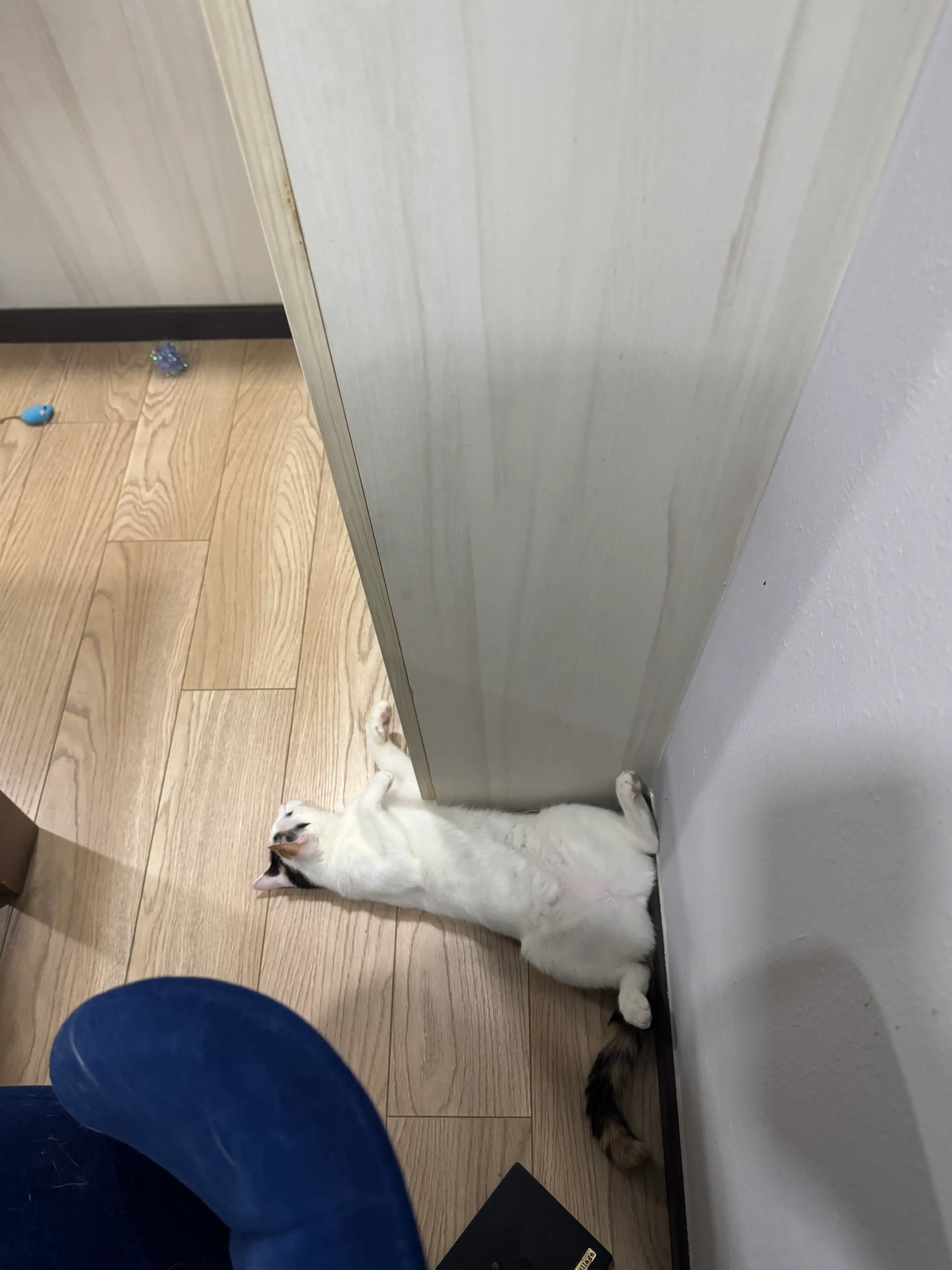 image-34