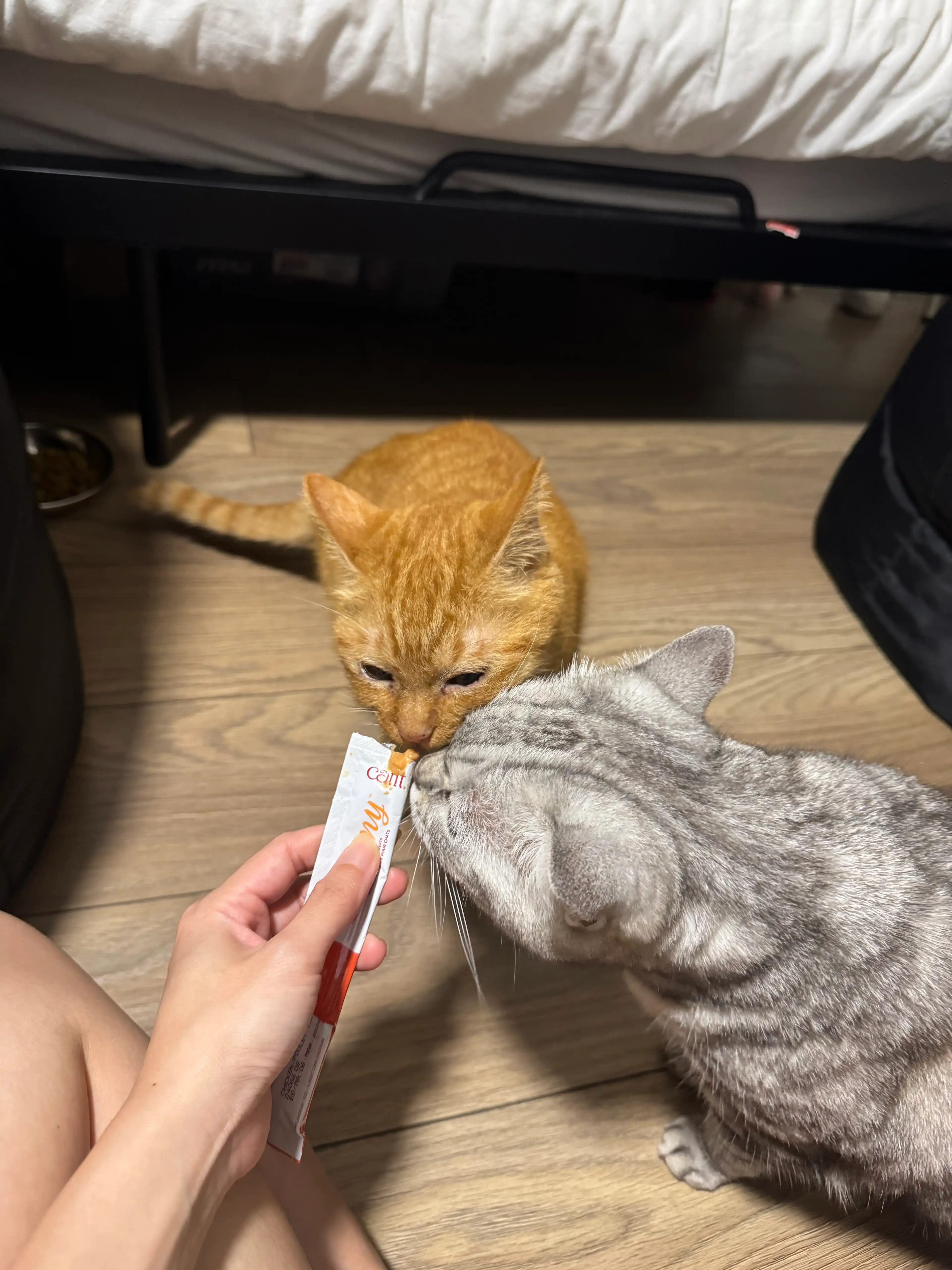 image-16