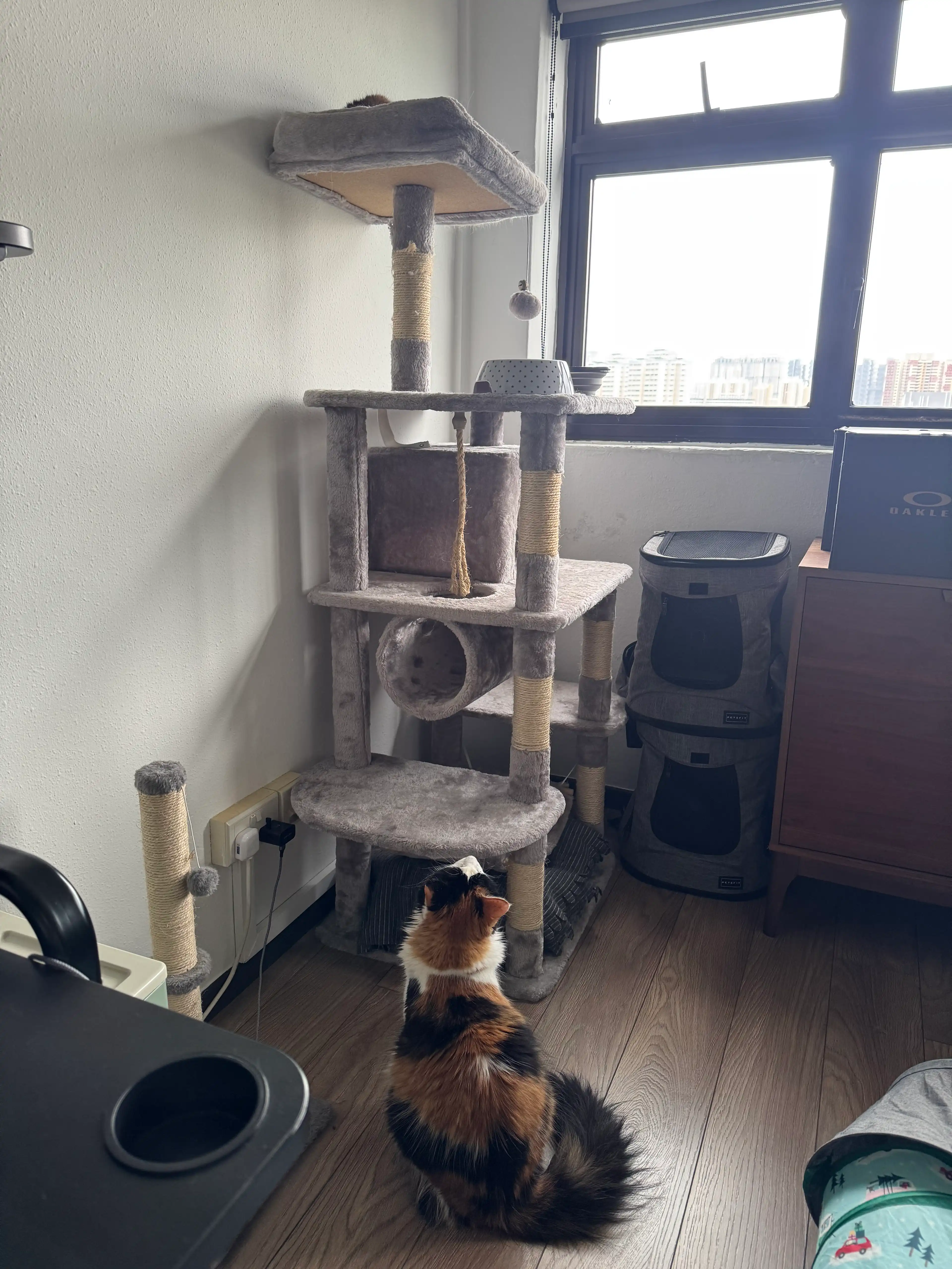 image-27