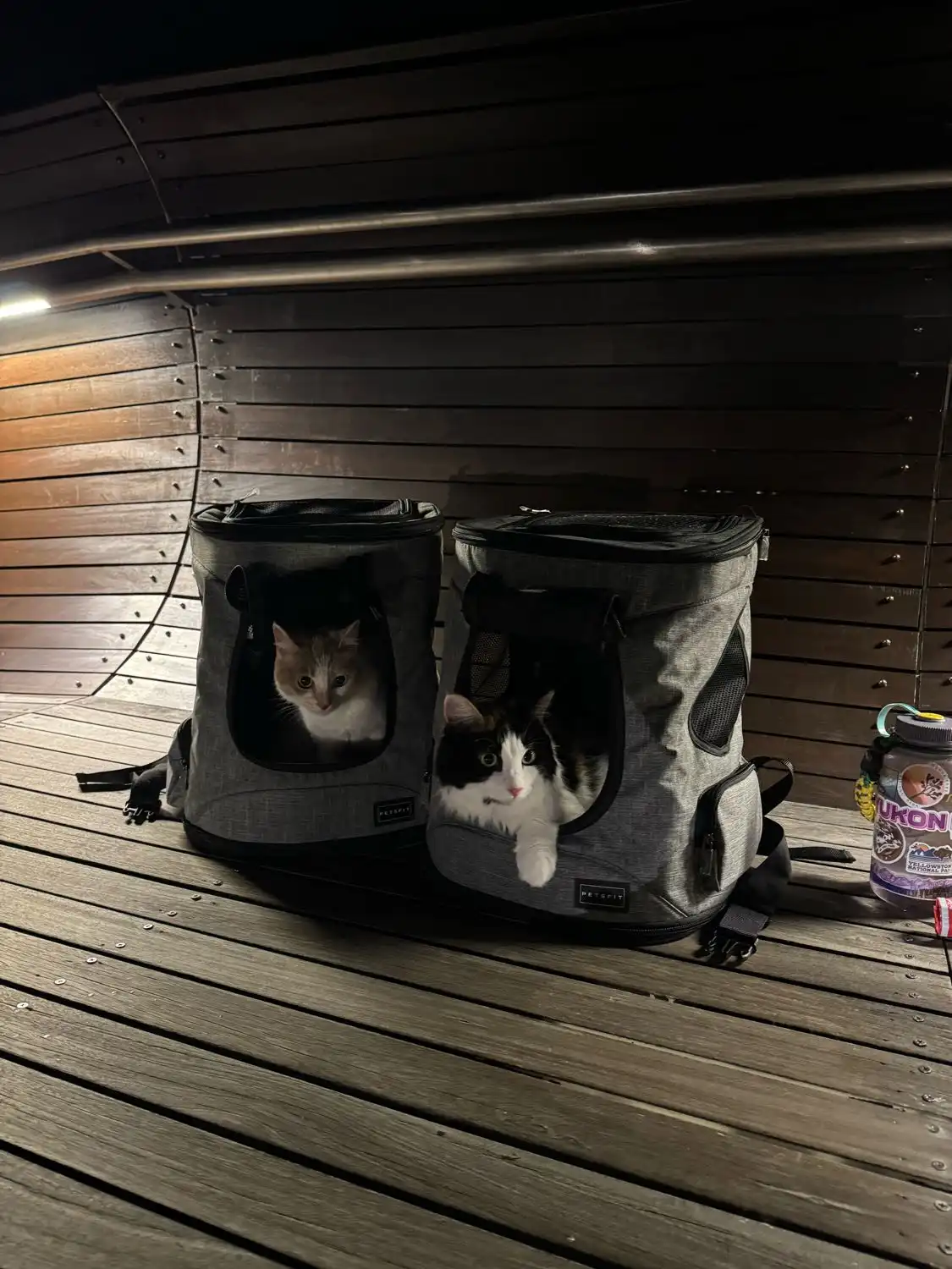 image-9