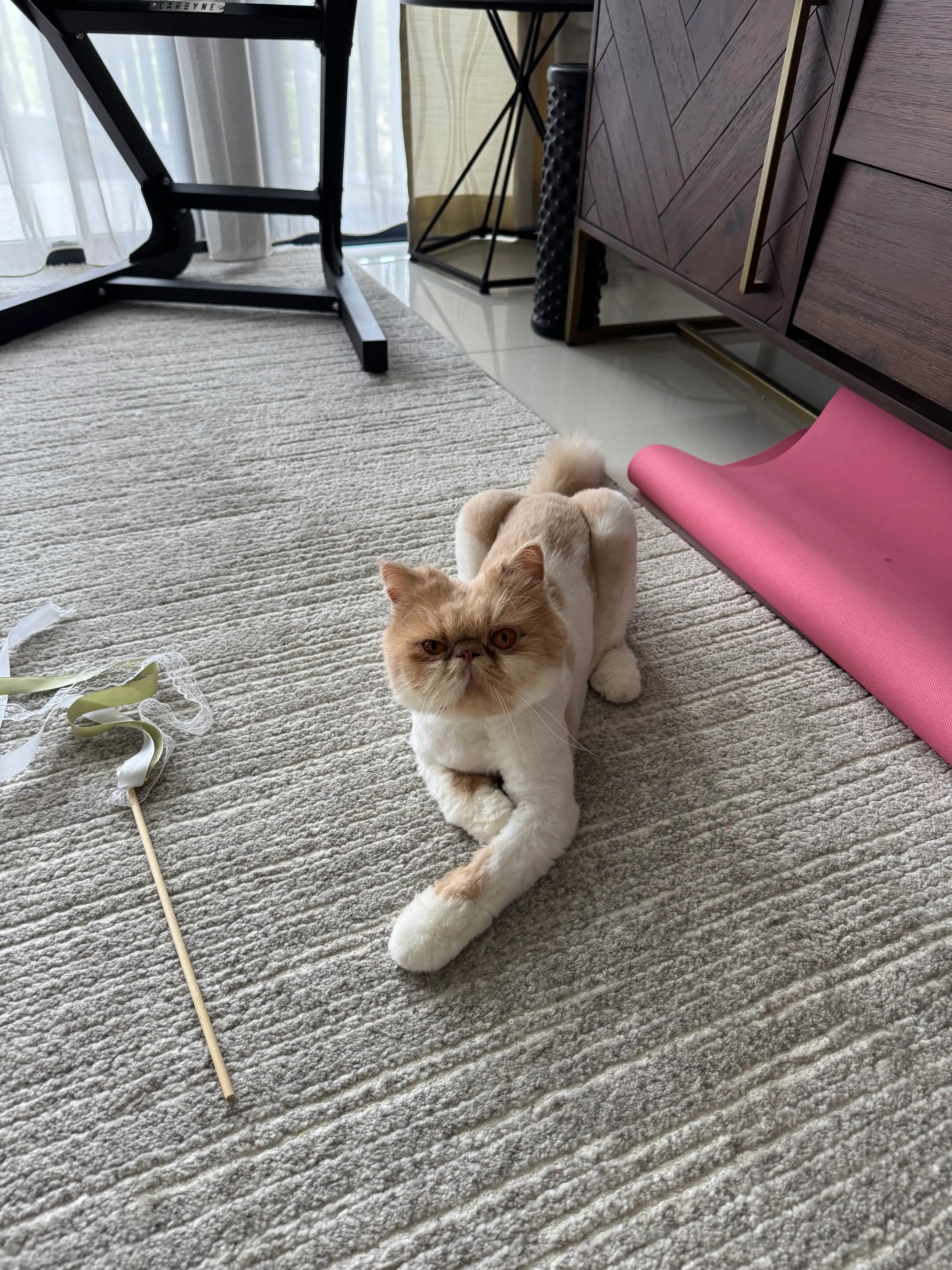 image-19