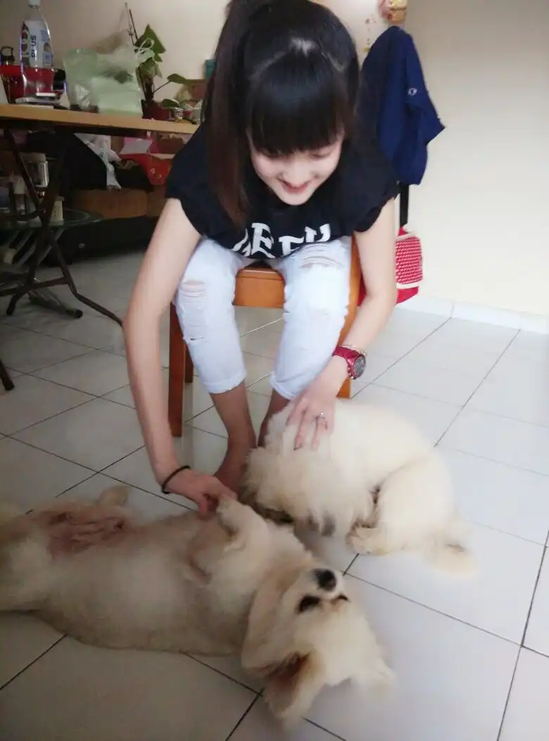 image-17
