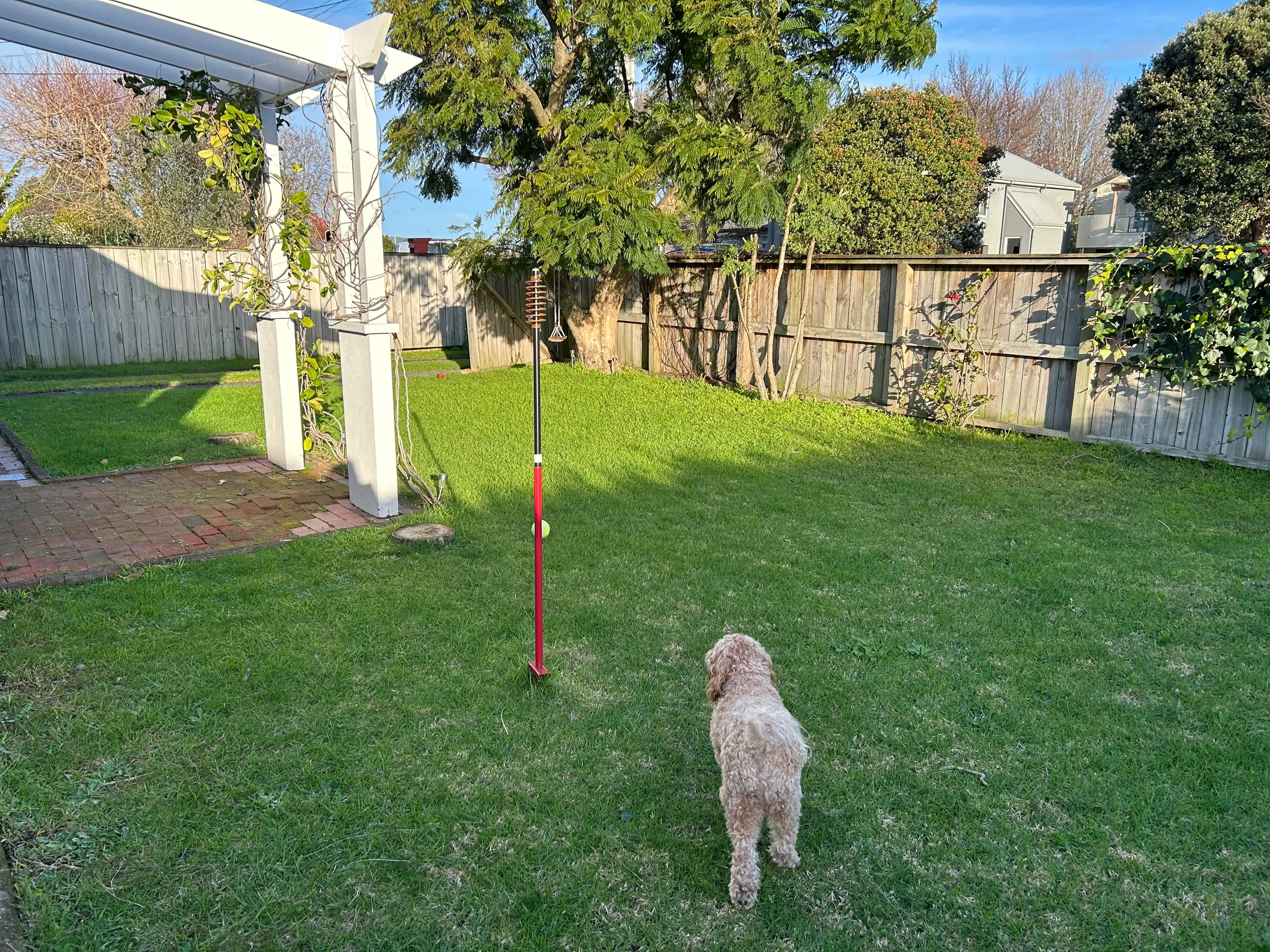 image-13