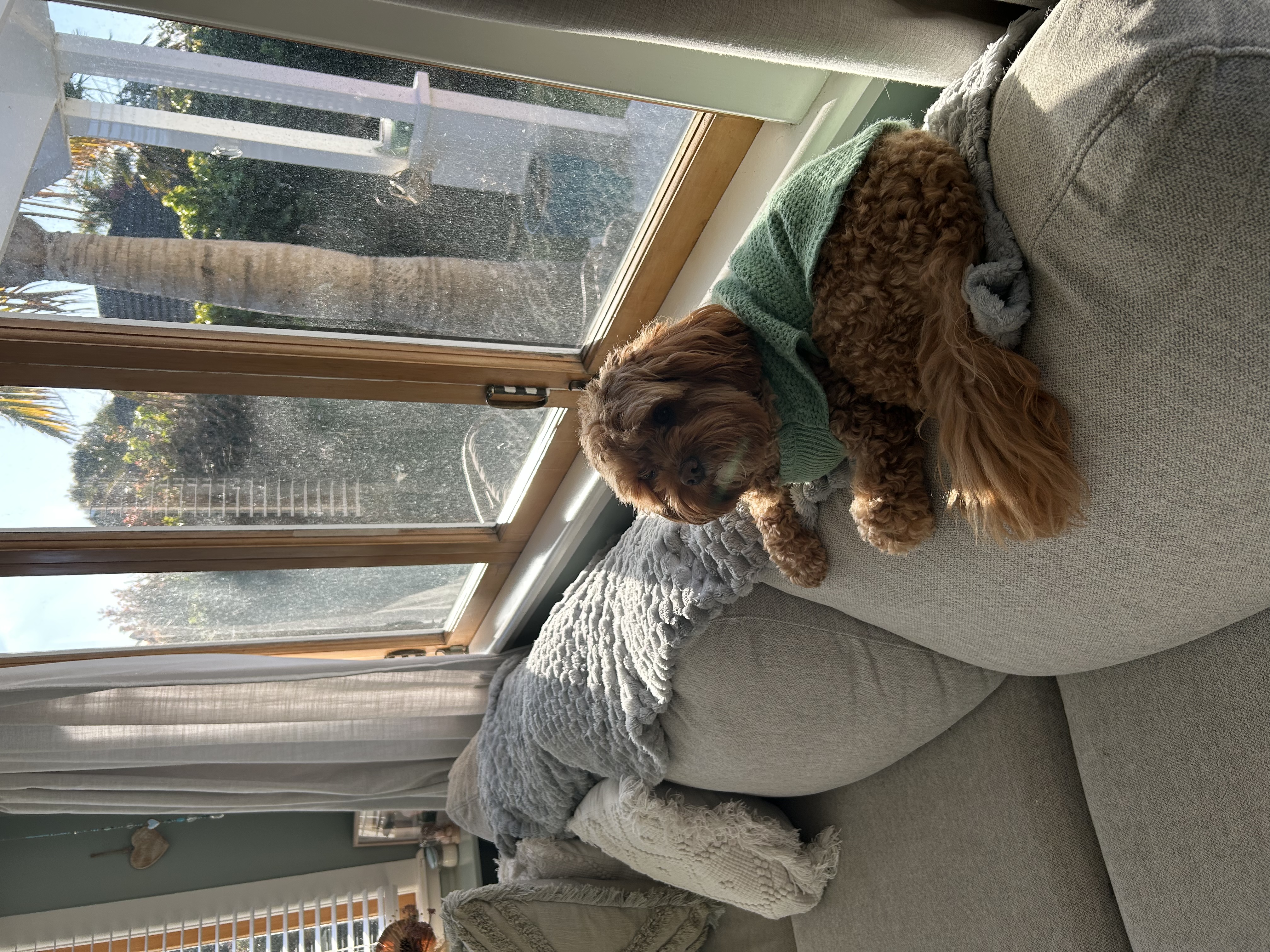 image-11