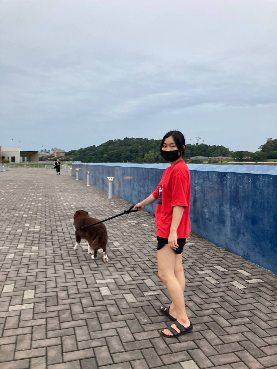 image-2