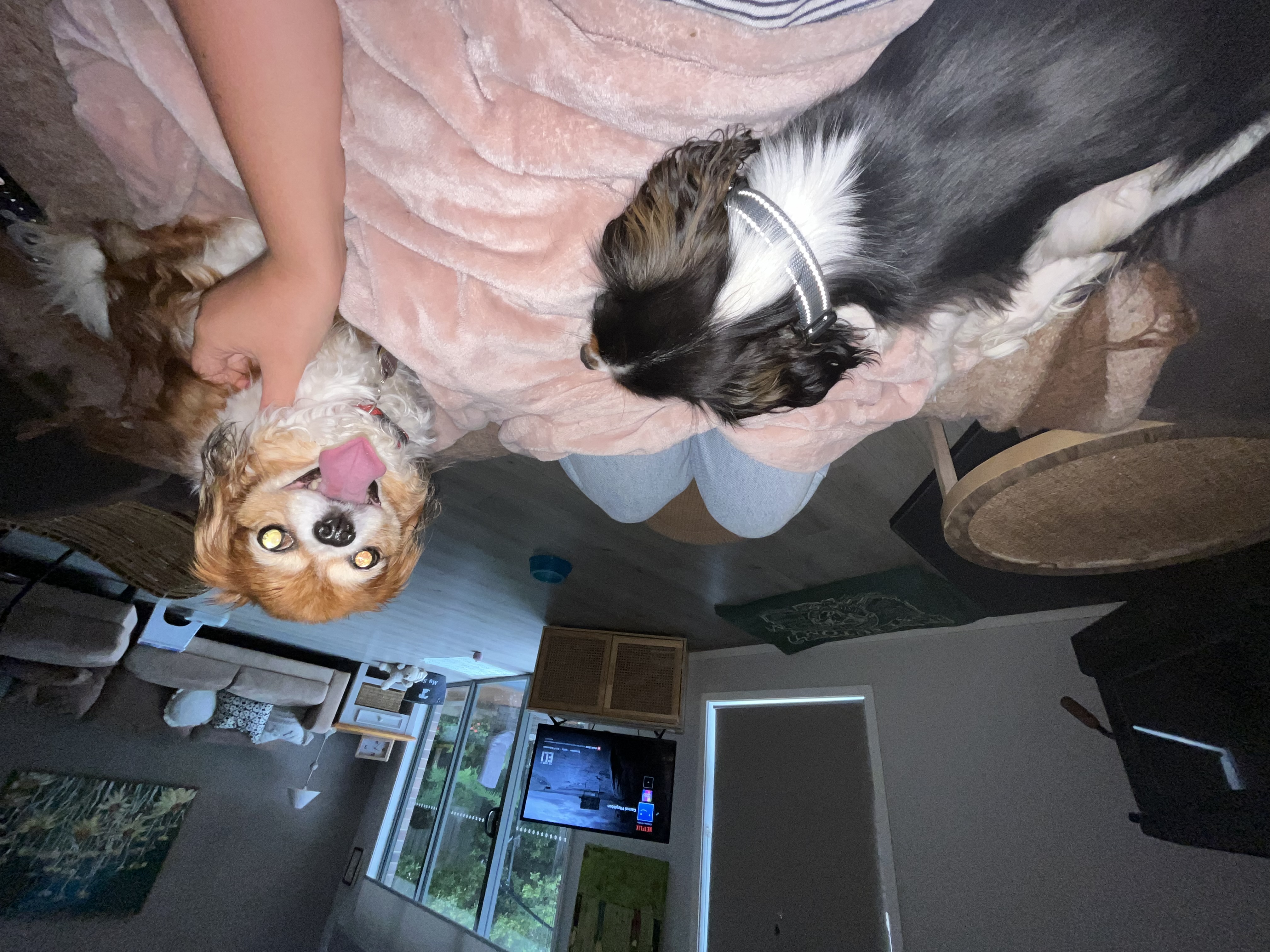 image-8