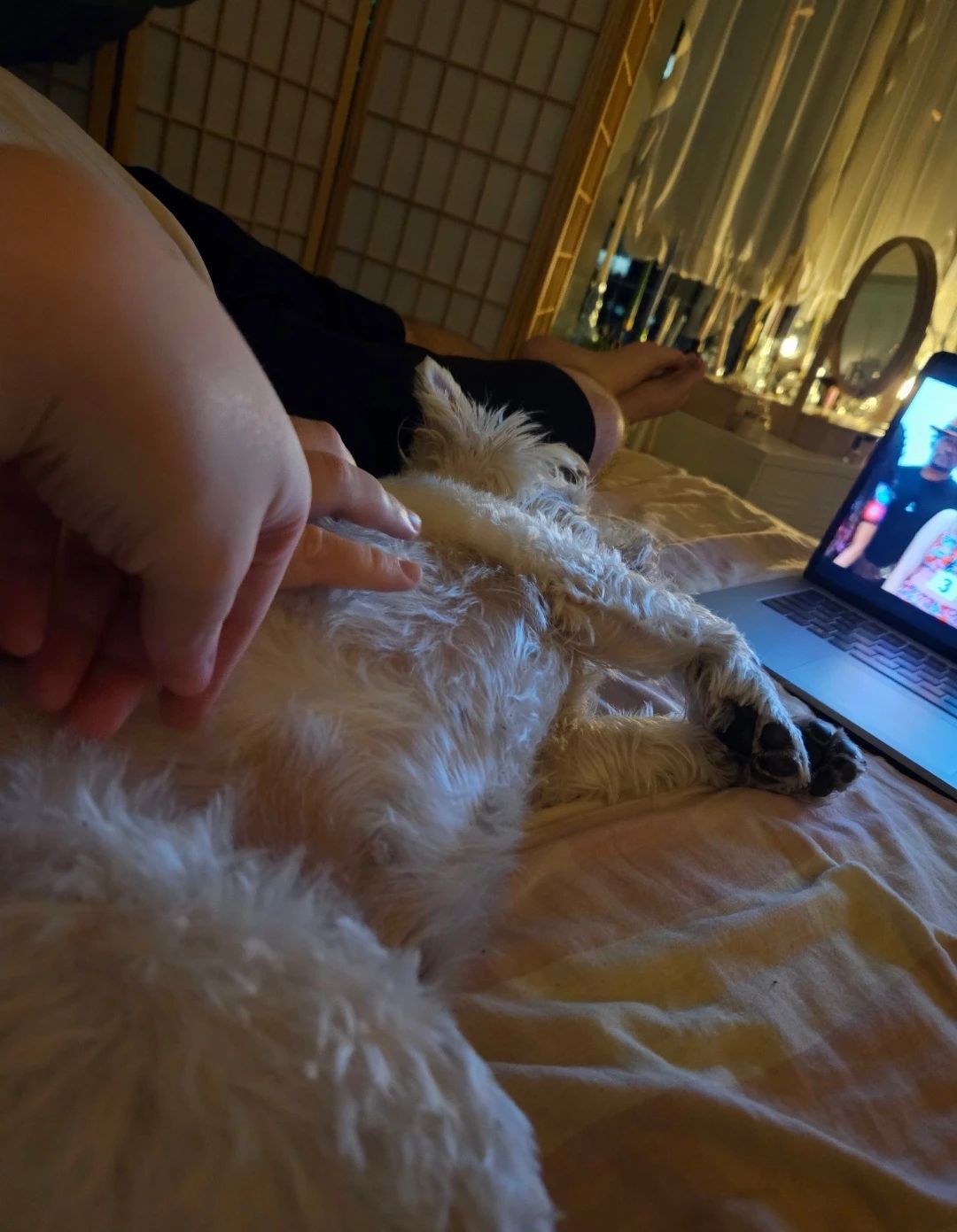 image-6