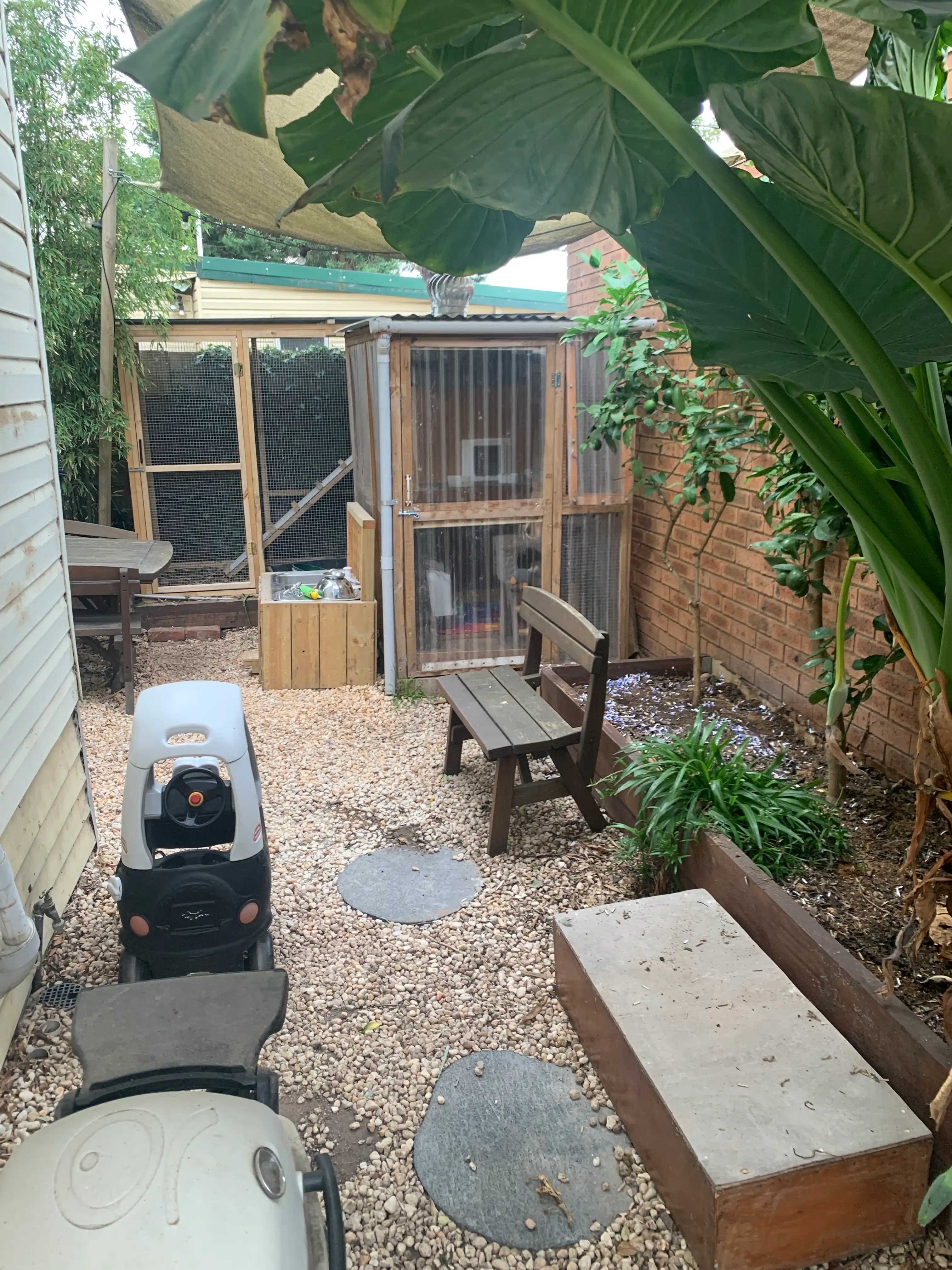 image-19