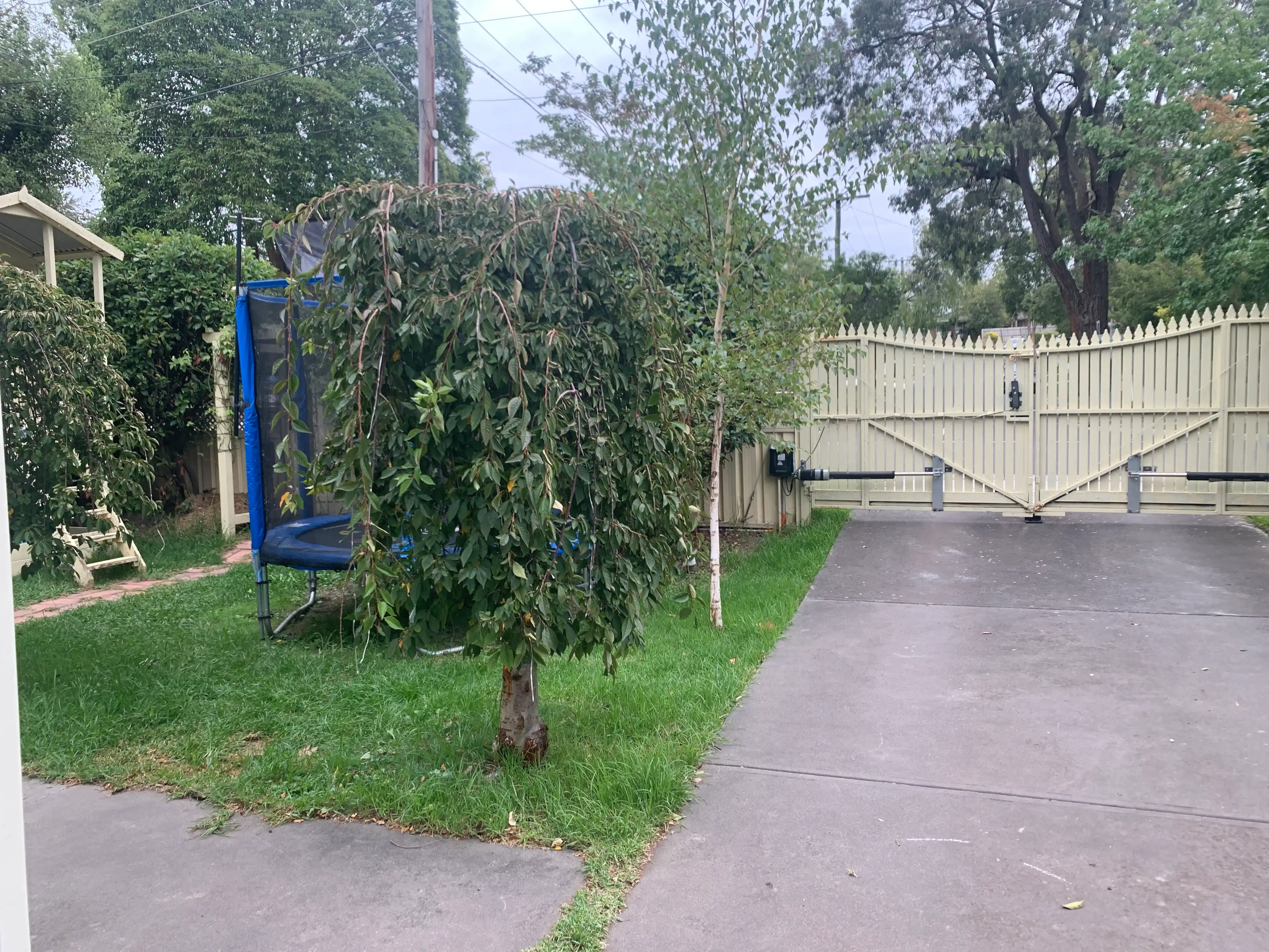 image-17