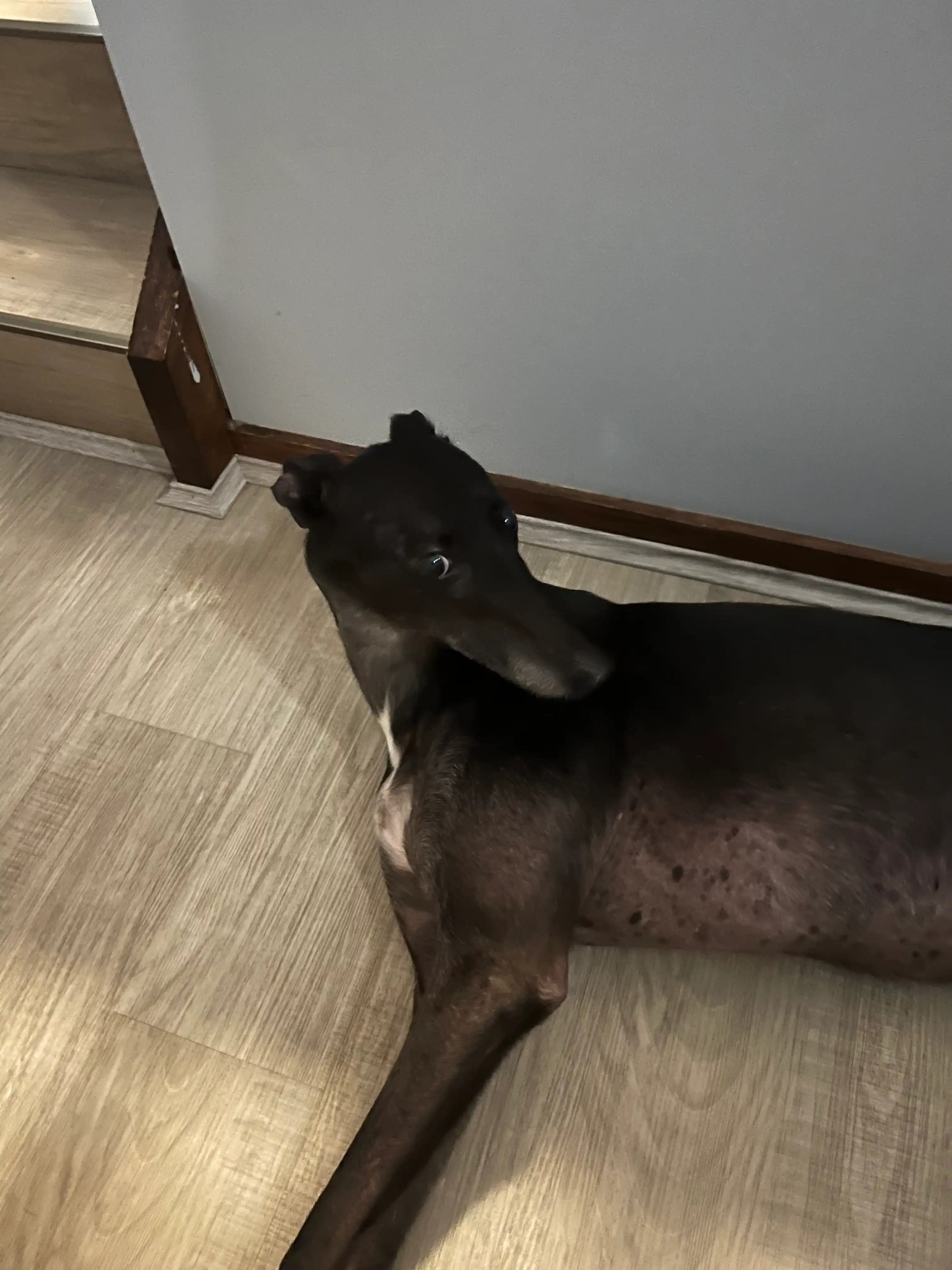 image-16