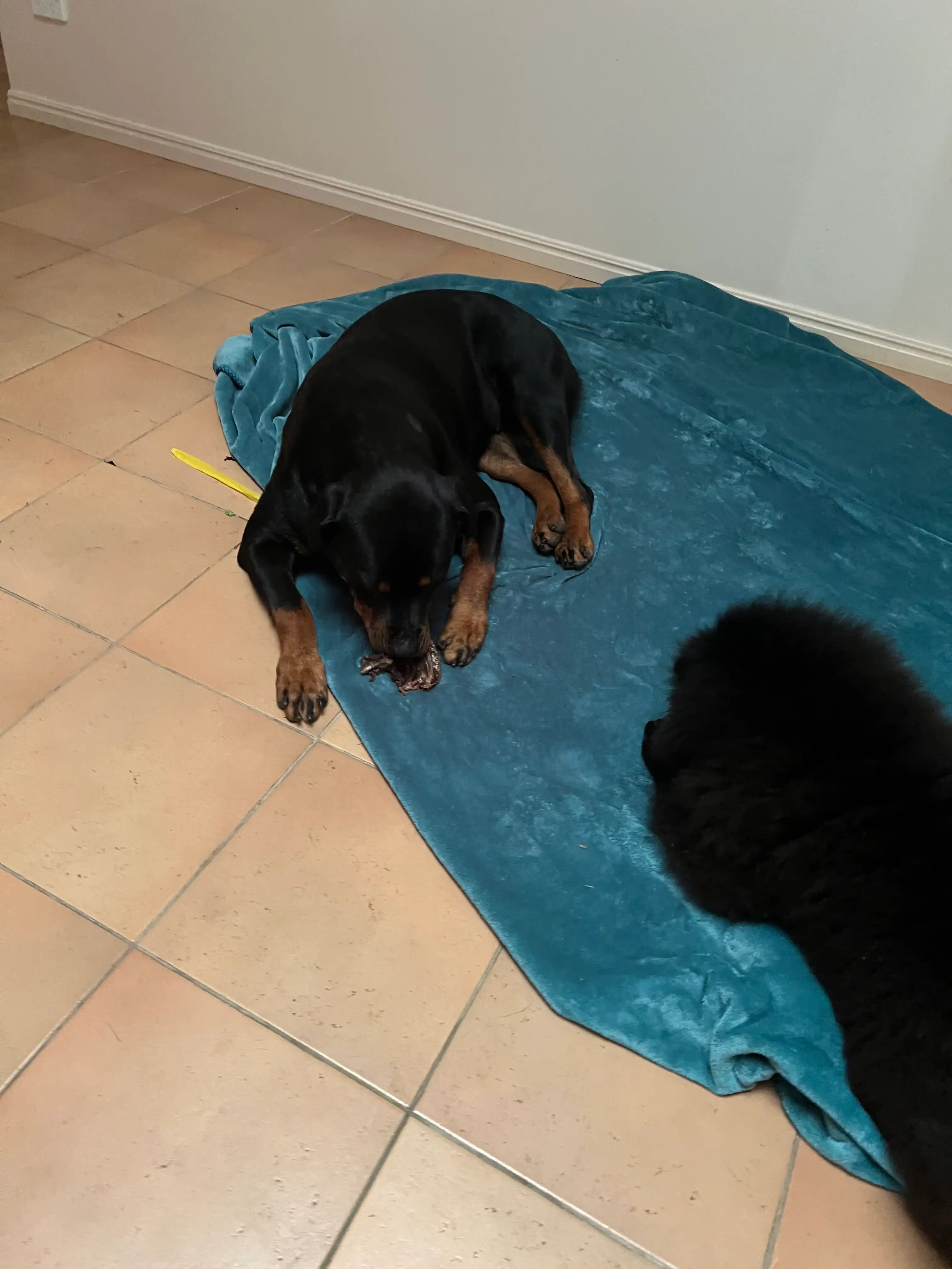 image-10