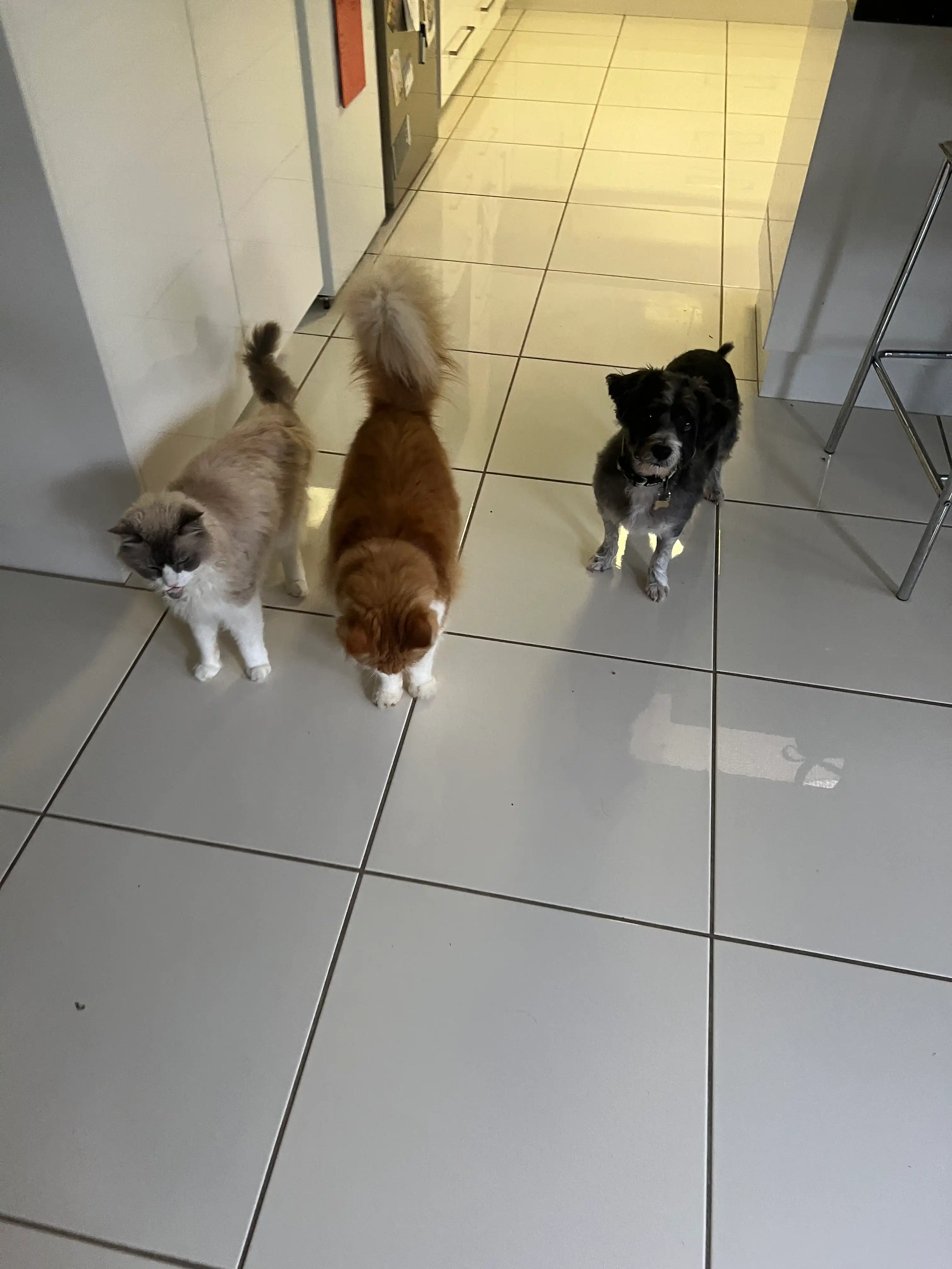 image-18