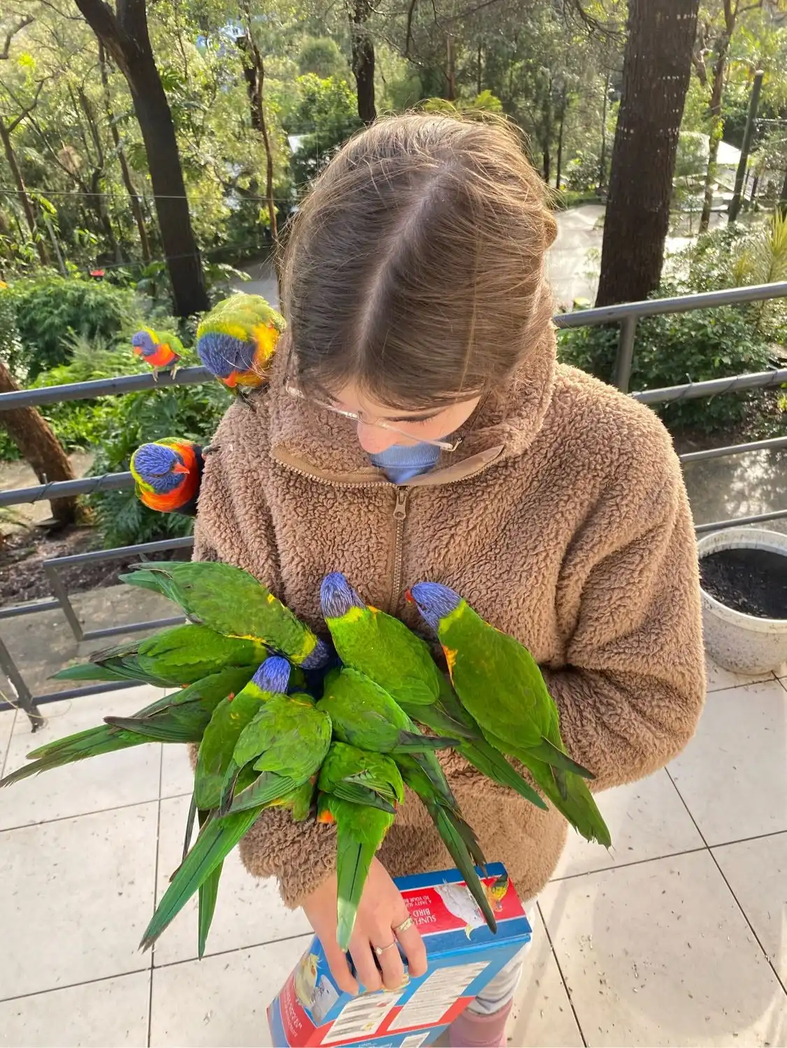 image-6