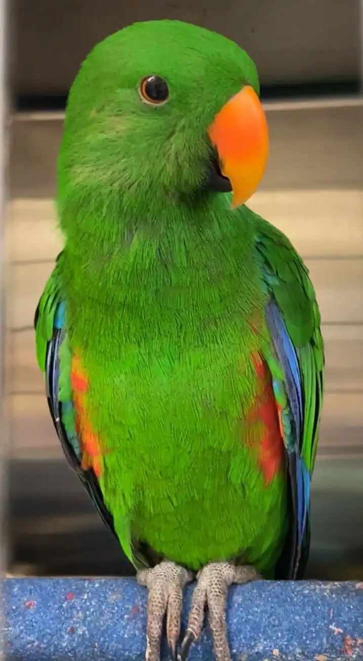 image-8