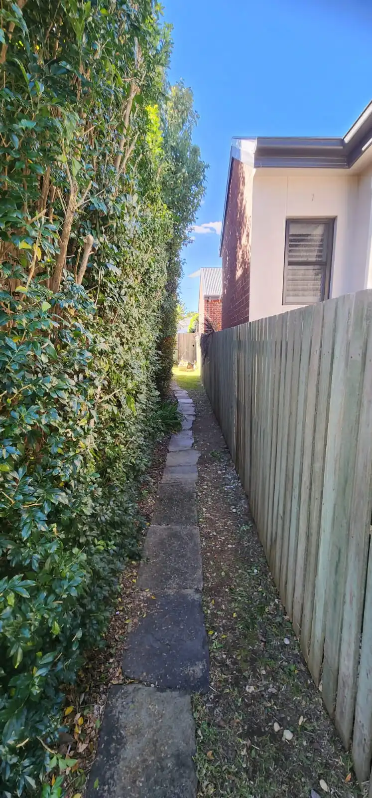 image-16