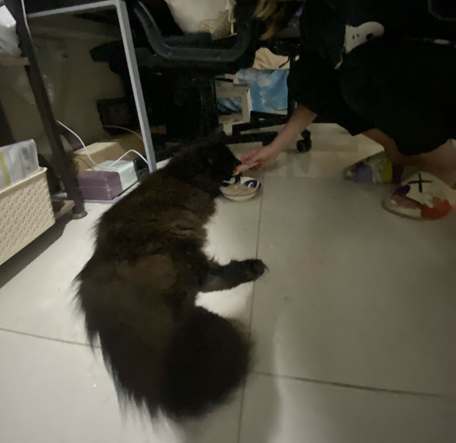 image-6