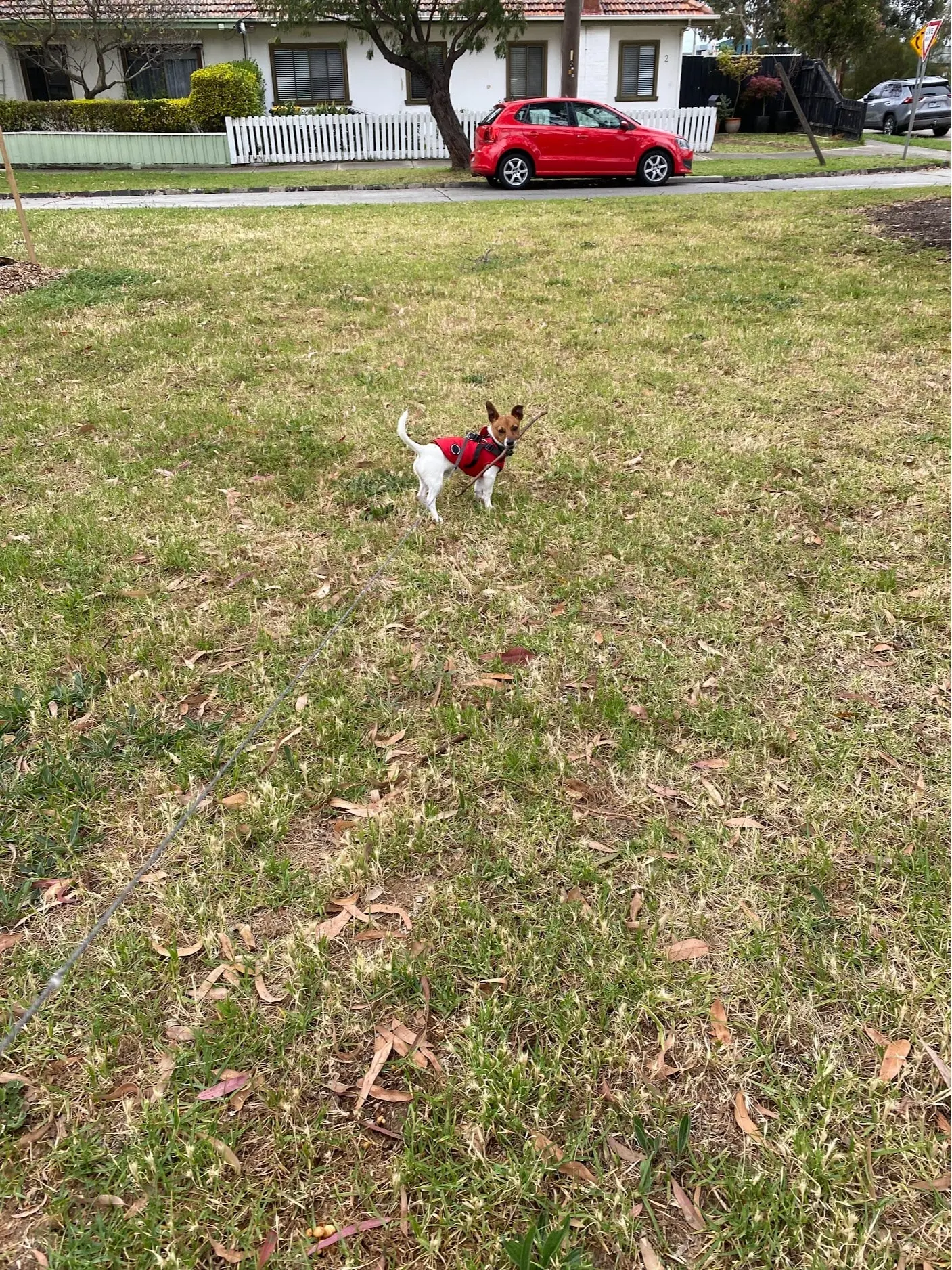 image-4