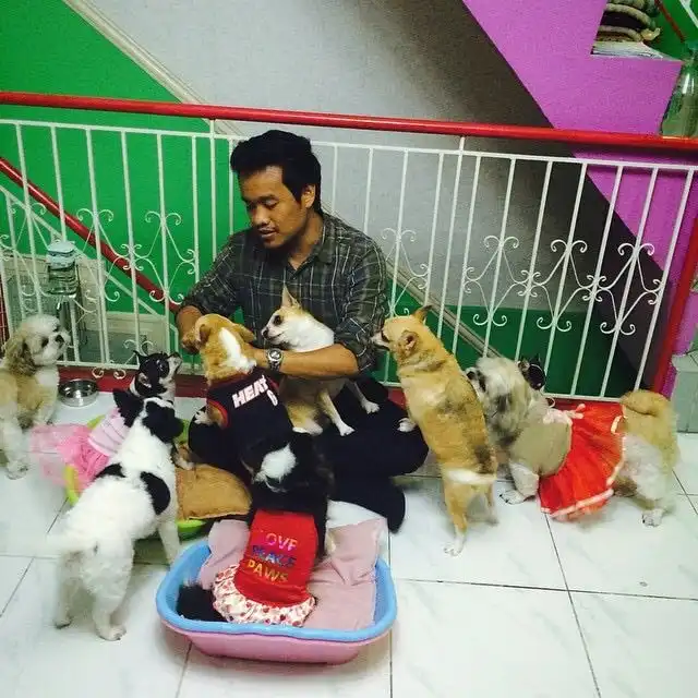 image-5