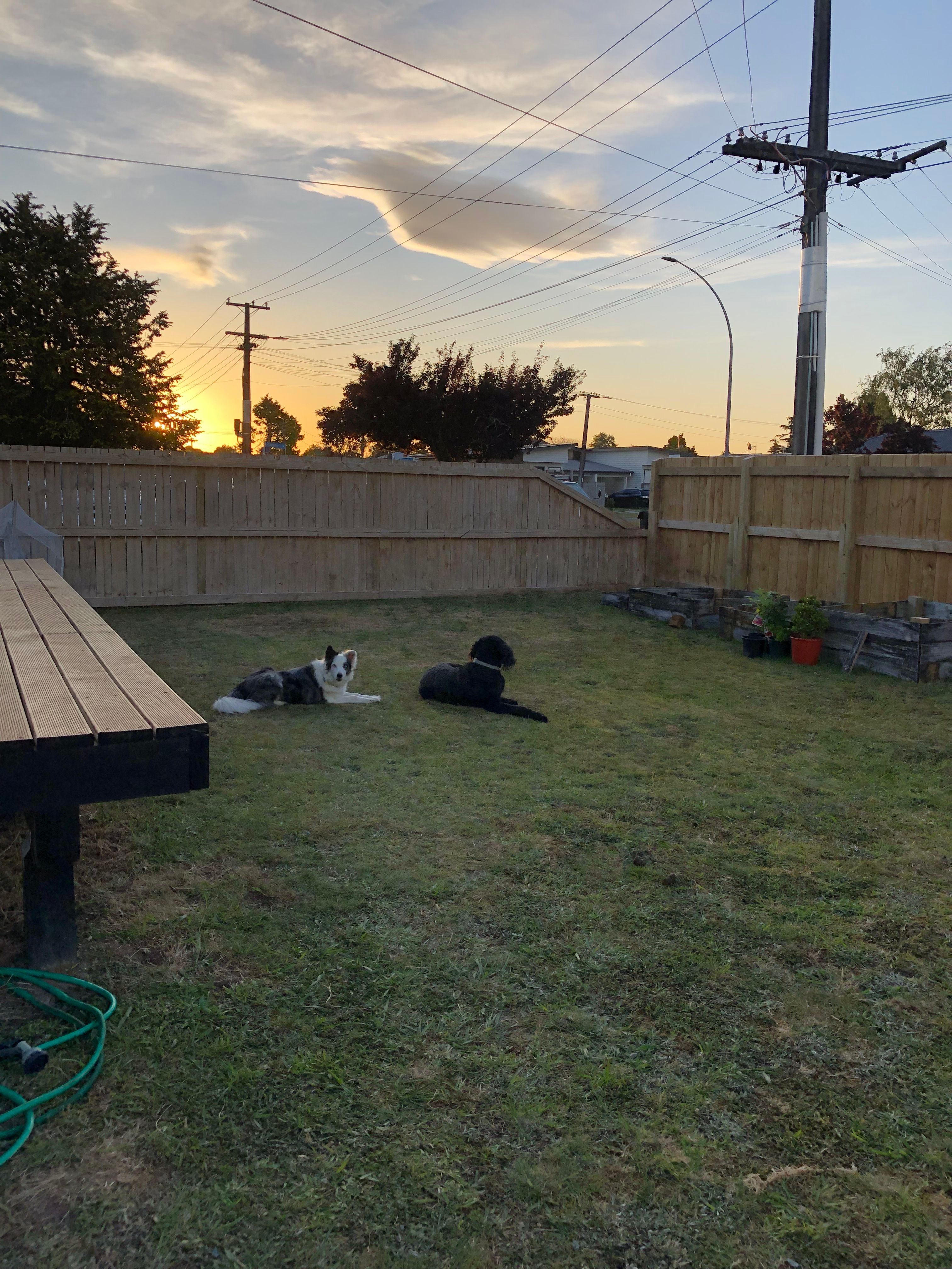 image-11