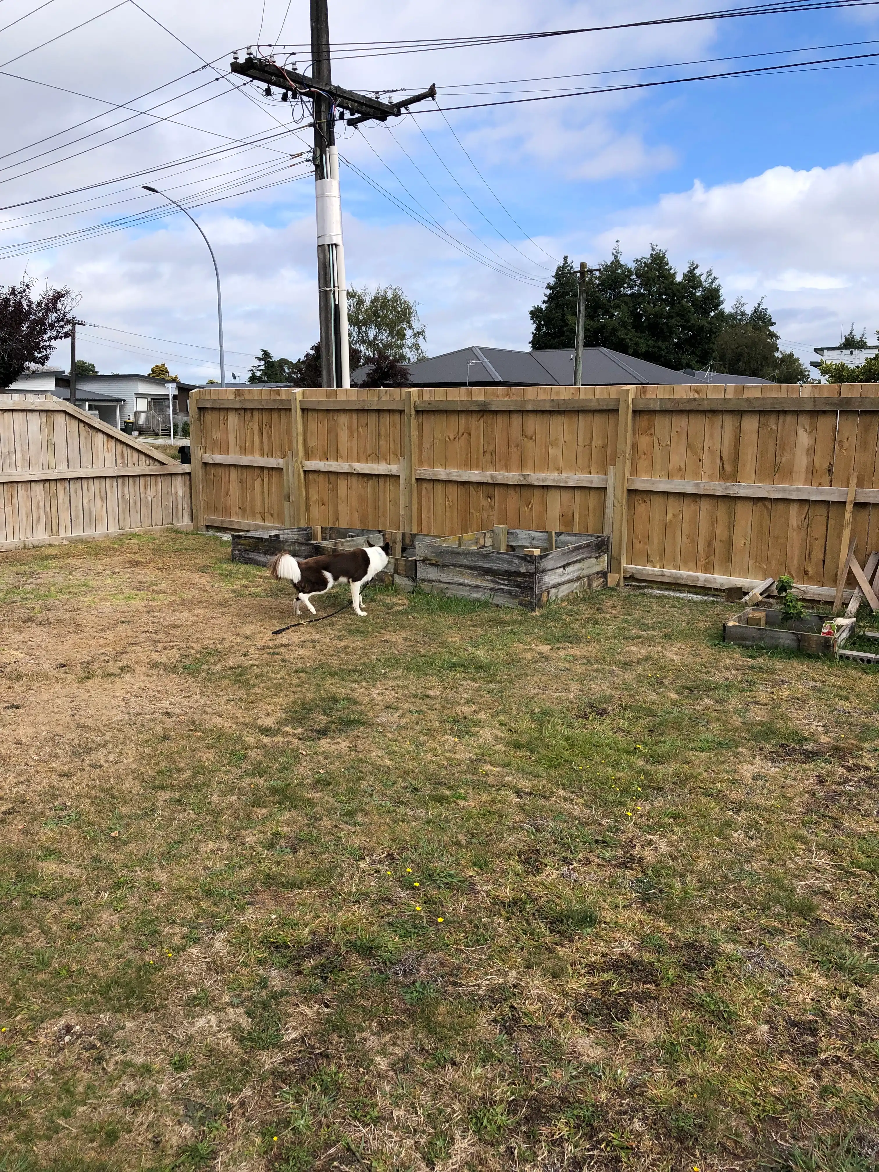 image-17