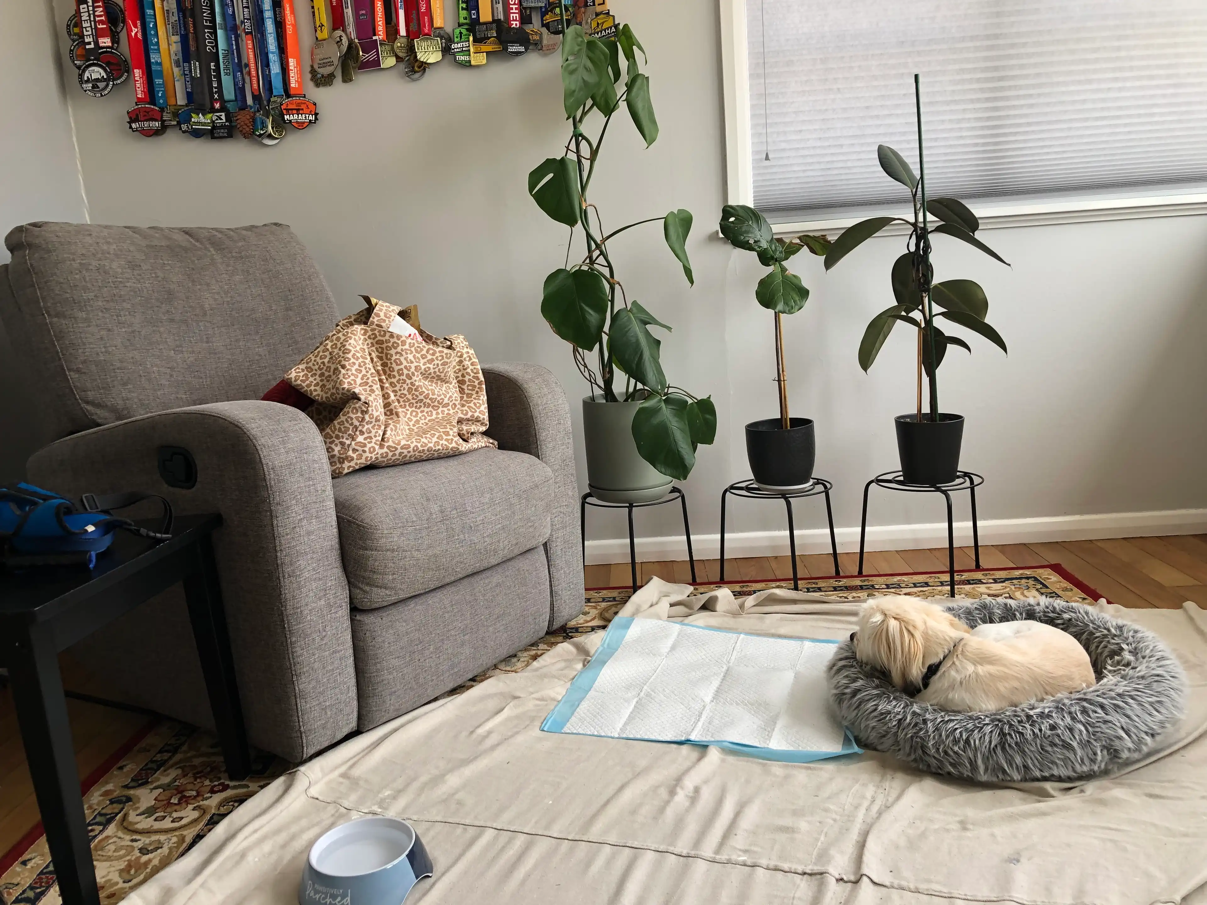 image-18