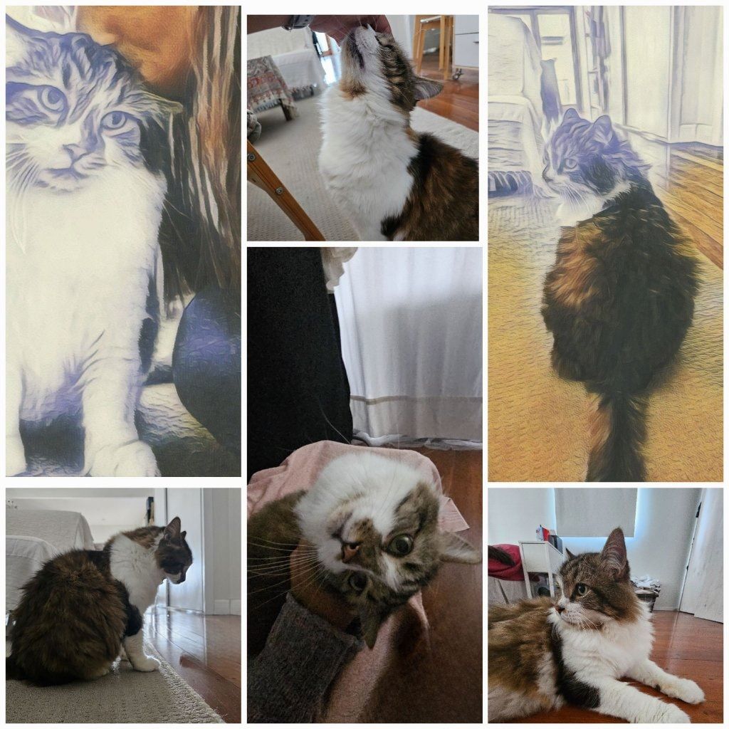 image-5