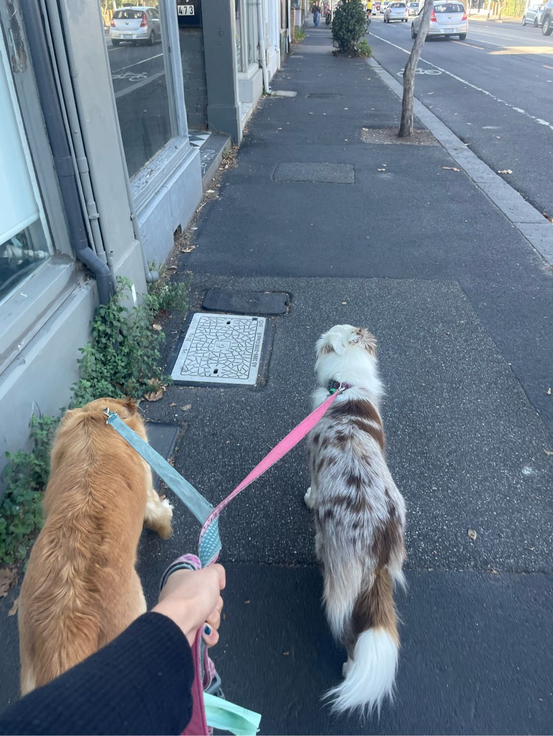 image-6