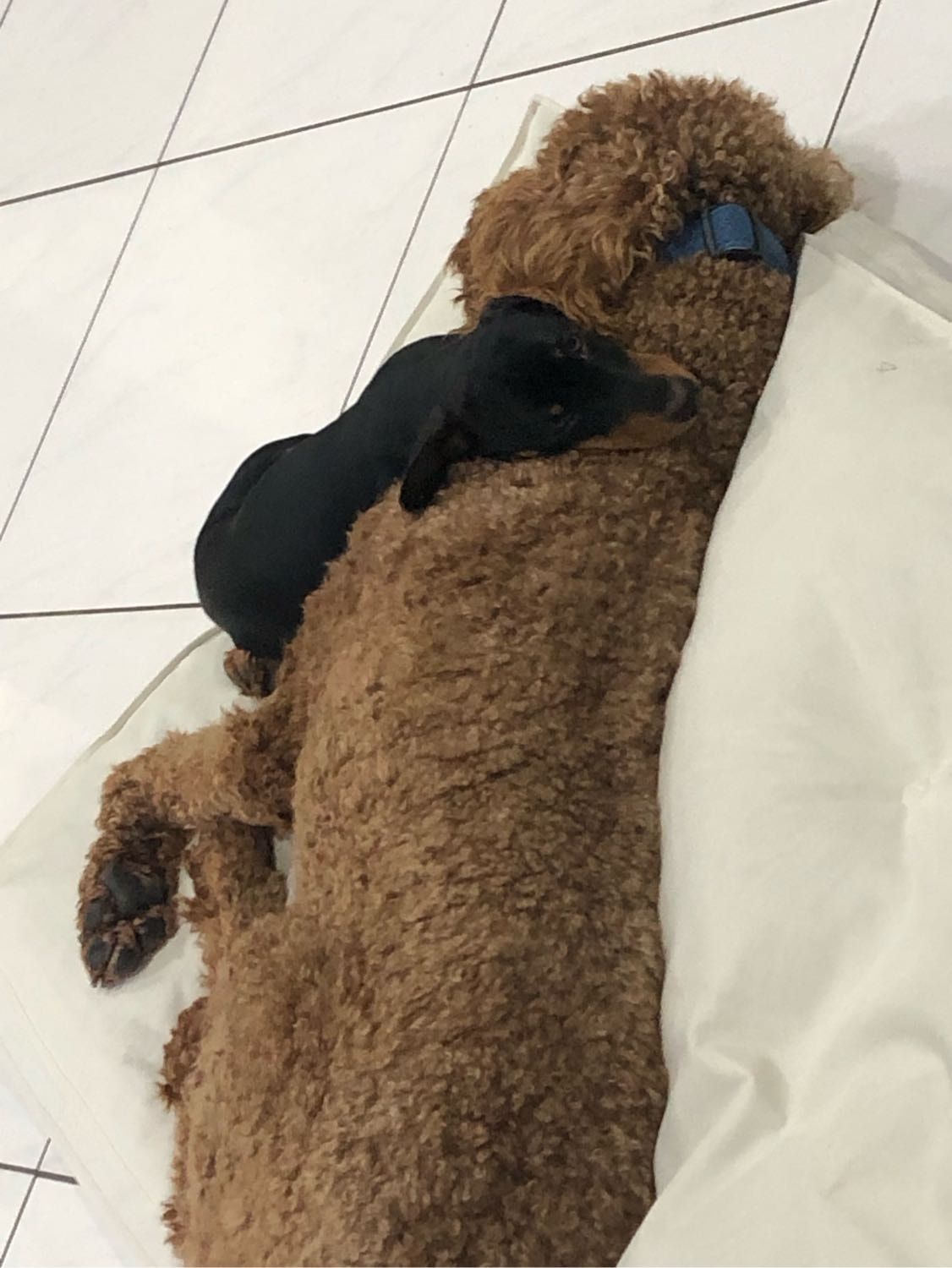 image-6