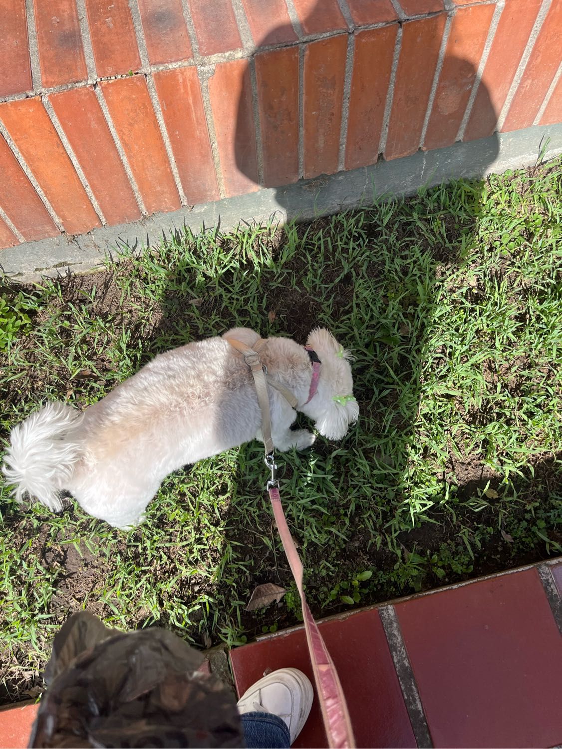 image-2