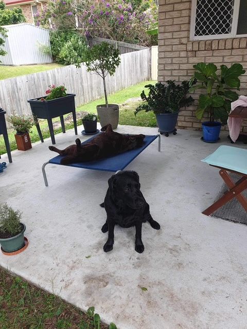 image-25