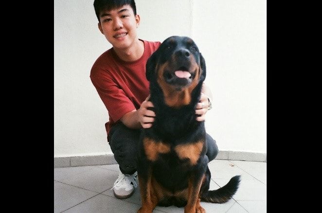 image-4