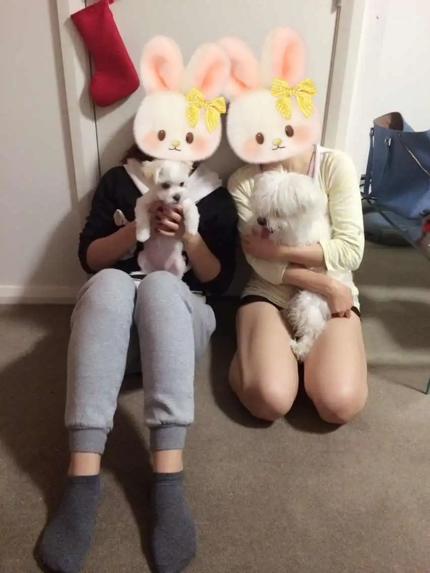 image-6