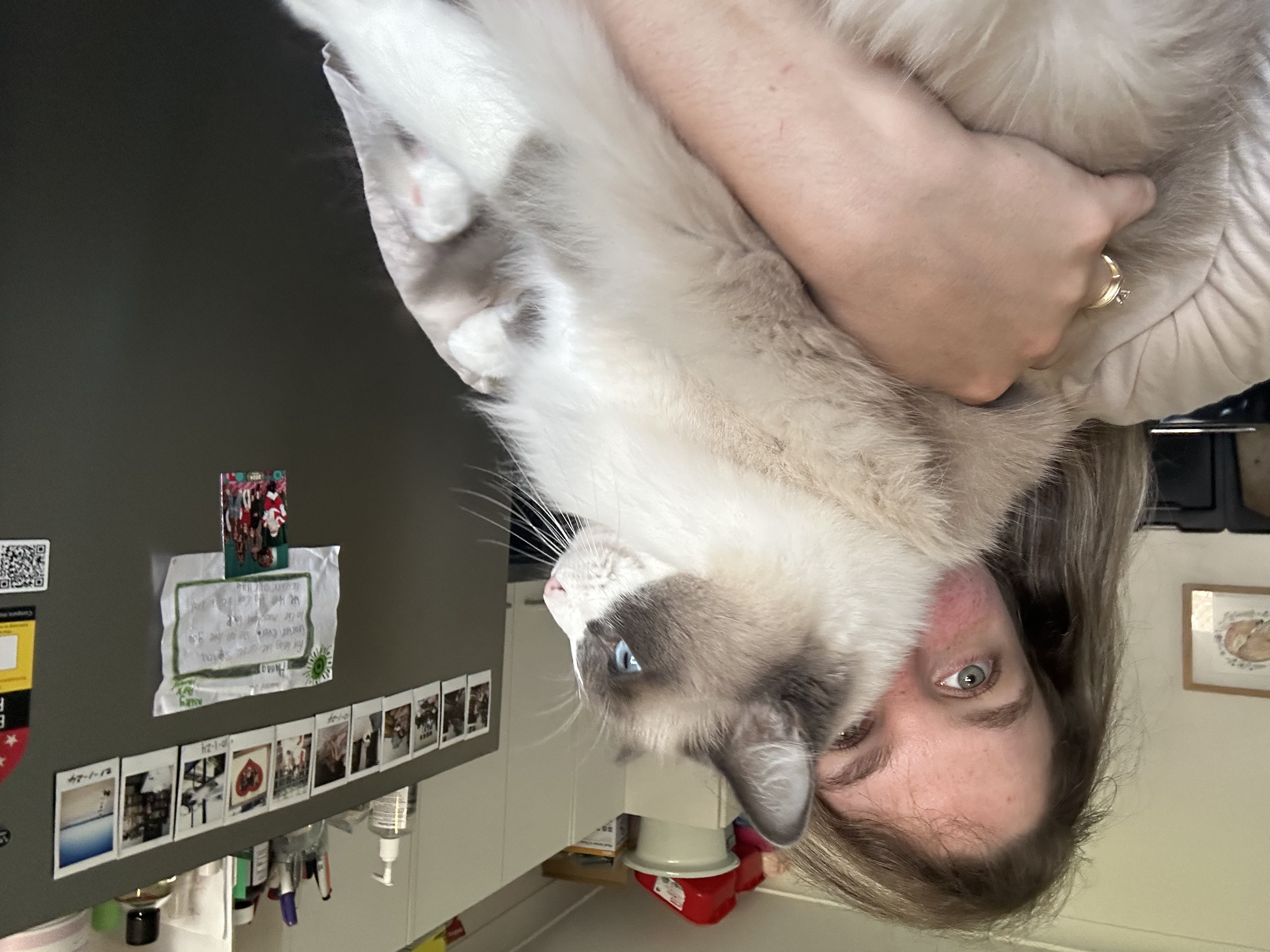 image-15